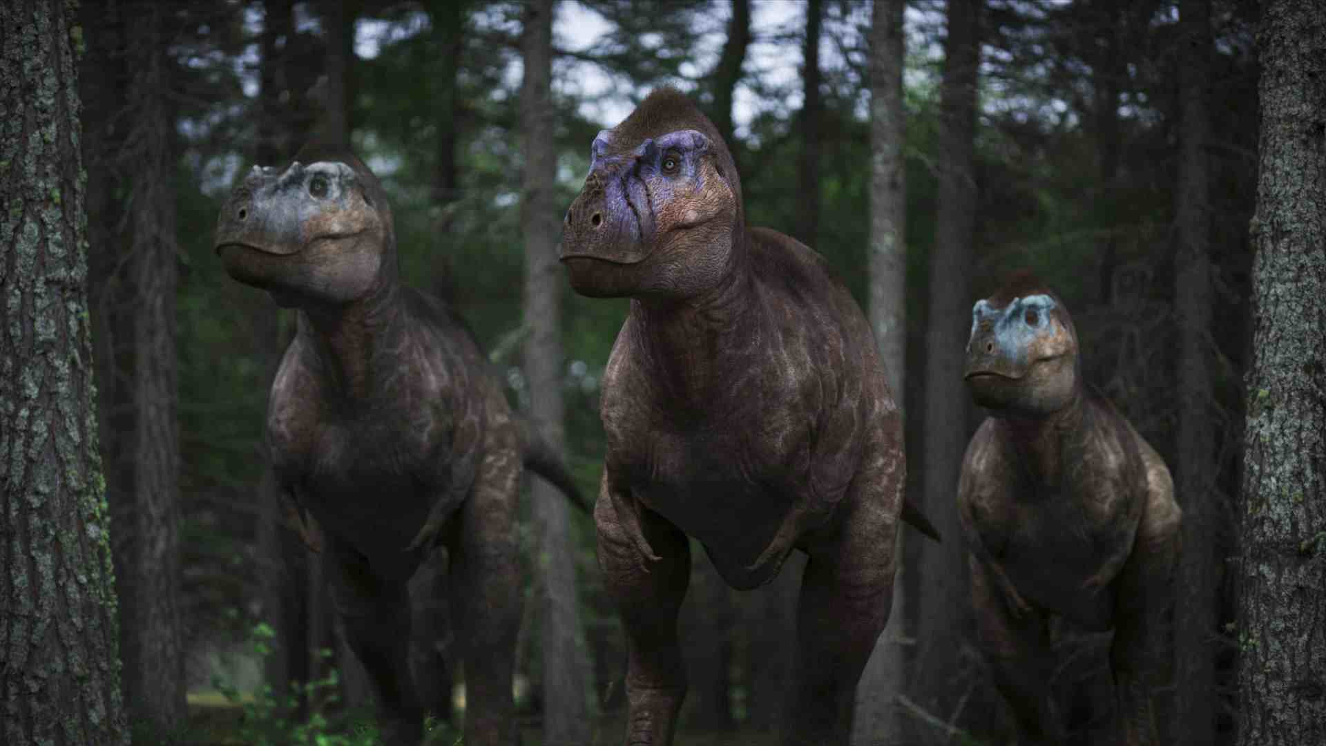 three dinosaurlike creatures with textured skin and distinctive facial features standing among tall trees in a dense forest creating a prehistoric atmosphere digital production Three dinosaur-like creatures with textured skin and distinctive facial features standing among tall trees in a dense forest, creating a prehistoric atmosphere.