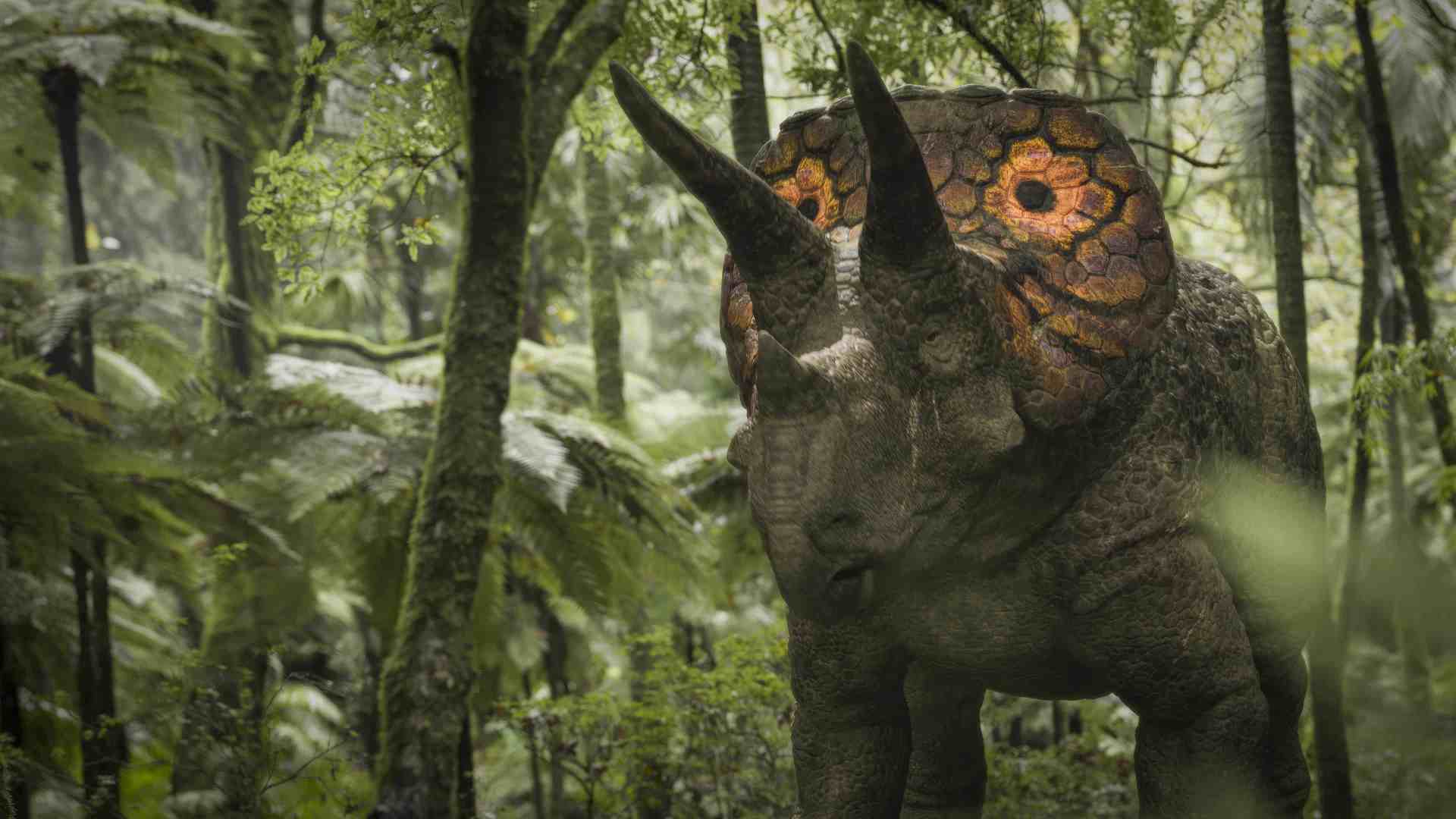 a large dinosaur resembling a triceratops standing amidst lush green foliage in a dense forest its distinctive frill features intricate patterns and the soft diffused light filters through the trees digital production A large dinosaur resembling a triceratops standing amidst lush green foliage in a dense forest. Its distinctive frill features intricate patterns, and the soft, diffused light filters through the trees.
