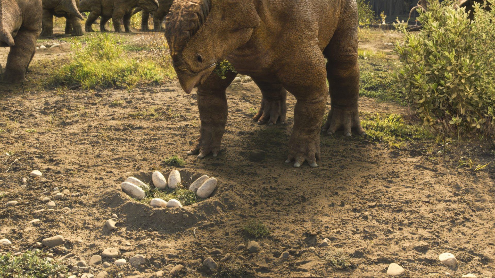 a prehistoric creature resembling a dinosaur standing near a nest of eggs on the ground the creature has a stout body and a large head with several other dinosaurs visible in the background surrounded by a lush green environment digital production A prehistoric creature resembling a dinosaur, standing near a nest of eggs on the ground. The creature has a stout body and a large head, with several other dinosaurs visible in the background, surrounded by a lush, green environment.