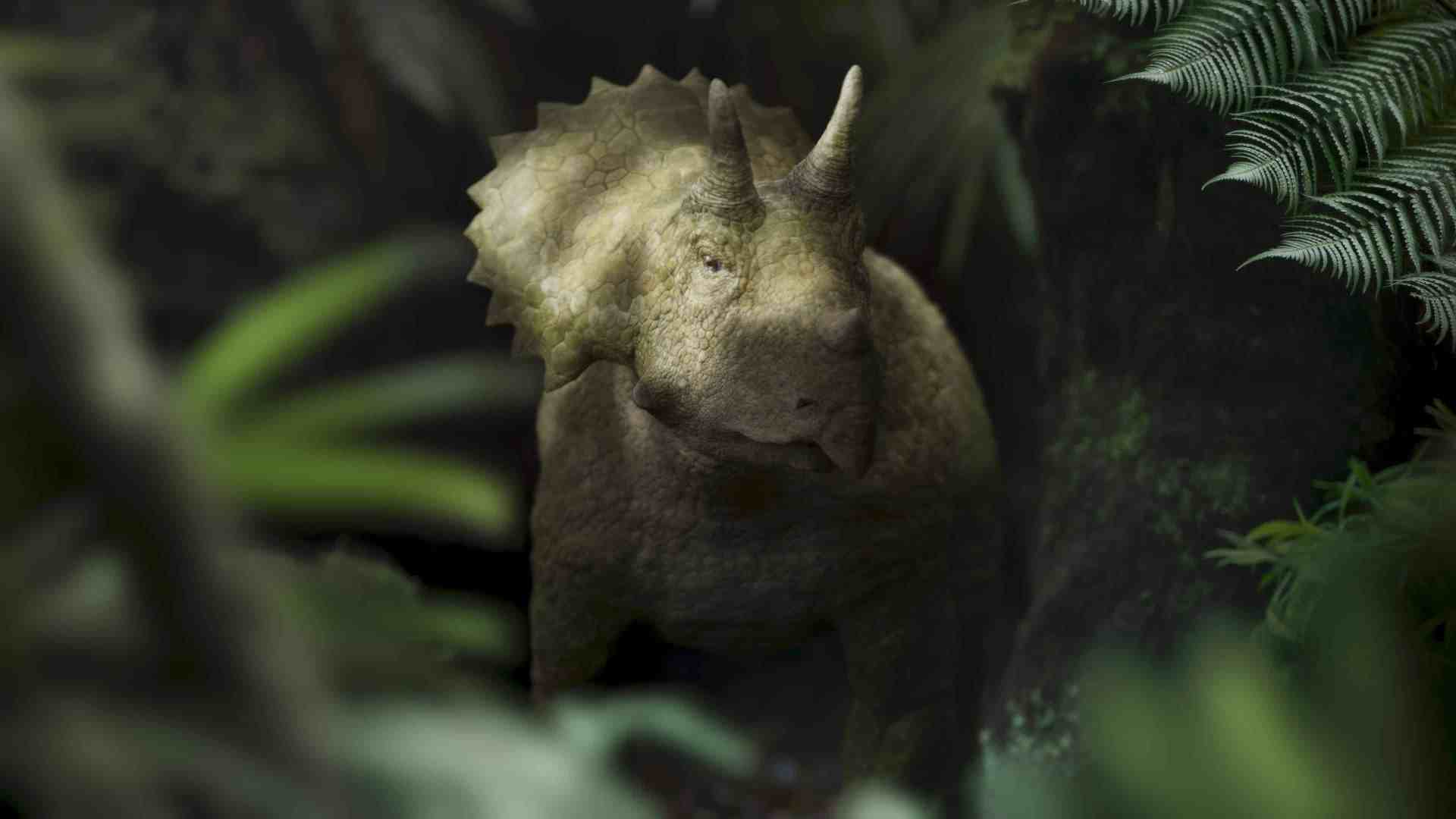 a realistic depiction of a dinosaur resembling a triceratops standing among lush green ferns and tropical plants in a dimly lit forest environment its textured skin blending with the natural surroundings digital production A realistic depiction of a dinosaur resembling a Triceratops standing among lush green ferns and tropical plants in a dimly lit forest environment, its textured skin blending with the natural surroundings.