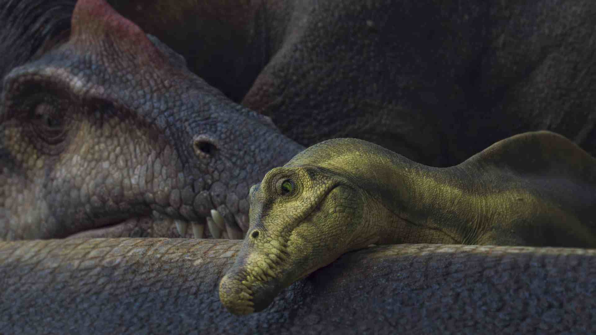 a closeup of a dinosaur and a prehistoric reptile resting together highlighting their scales and textures the dinosaurs rugged skin contrasts with the smoother shiny appearance of the reptiles head showcasing their ancient features digital production A close-up of a dinosaur and a prehistoric reptile resting together, highlighting their scales and textures. The dinosaur's rugged skin contrasts with the smoother, shiny appearance of the reptile's head, showcasing their ancient features.