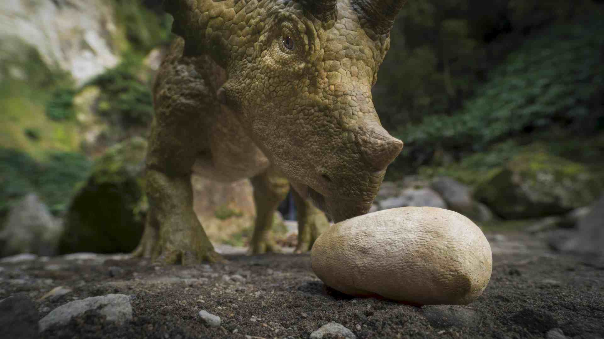 a closeup view of a dinosaur resembling a triceratops examining a large egg on the ground in a forested area lush greenery can be seen in the background creating a natural setting digital production A close-up view of a dinosaur resembling a triceratops examining a large egg on the ground in a forested area. Lush greenery can be seen in the background, creating a natural setting.