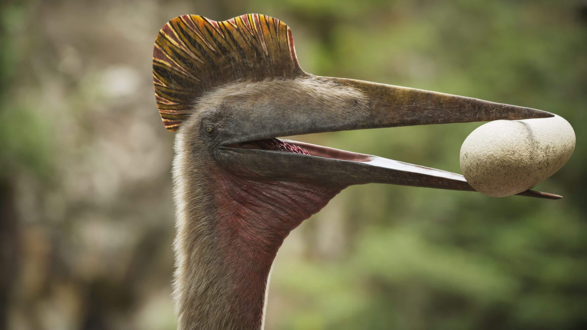 a large bird with a distinctive crest holds an egg in its beak surrounded by a blurred green natural background the bird has a long slender beak and a muted plumage emphasizing its unique features digital production A large bird with a distinctive crest holds an egg in its beak, surrounded by a blurred green natural background. The bird has a long, slender beak and a muted plumage, emphasizing its unique features.