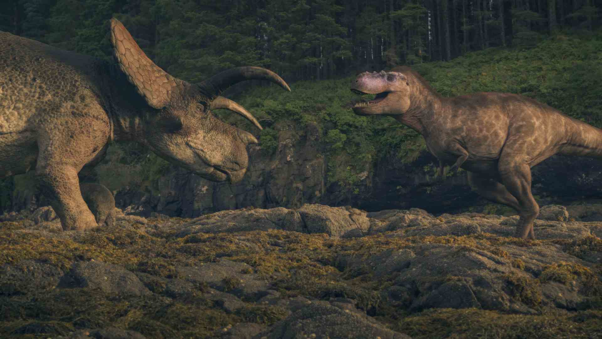 a triceratops and a tyrannosaurus rex face off on a rocky terrain surrounded by a lush forest backdrop the triceratops displays its distinctive three horns and frill while the t rex has an open mouth showcasing sharp teeth the scene captures a dramatic moment in prehistoric life digital production A Triceratops and a Tyrannosaurus rex face off on a rocky terrain, surrounded by a lush forest backdrop. The Triceratops displays its distinctive three horns and frill, while the T. rex has an open mouth, showcasing sharp teeth. The scene captures a dramatic moment in prehistoric life.