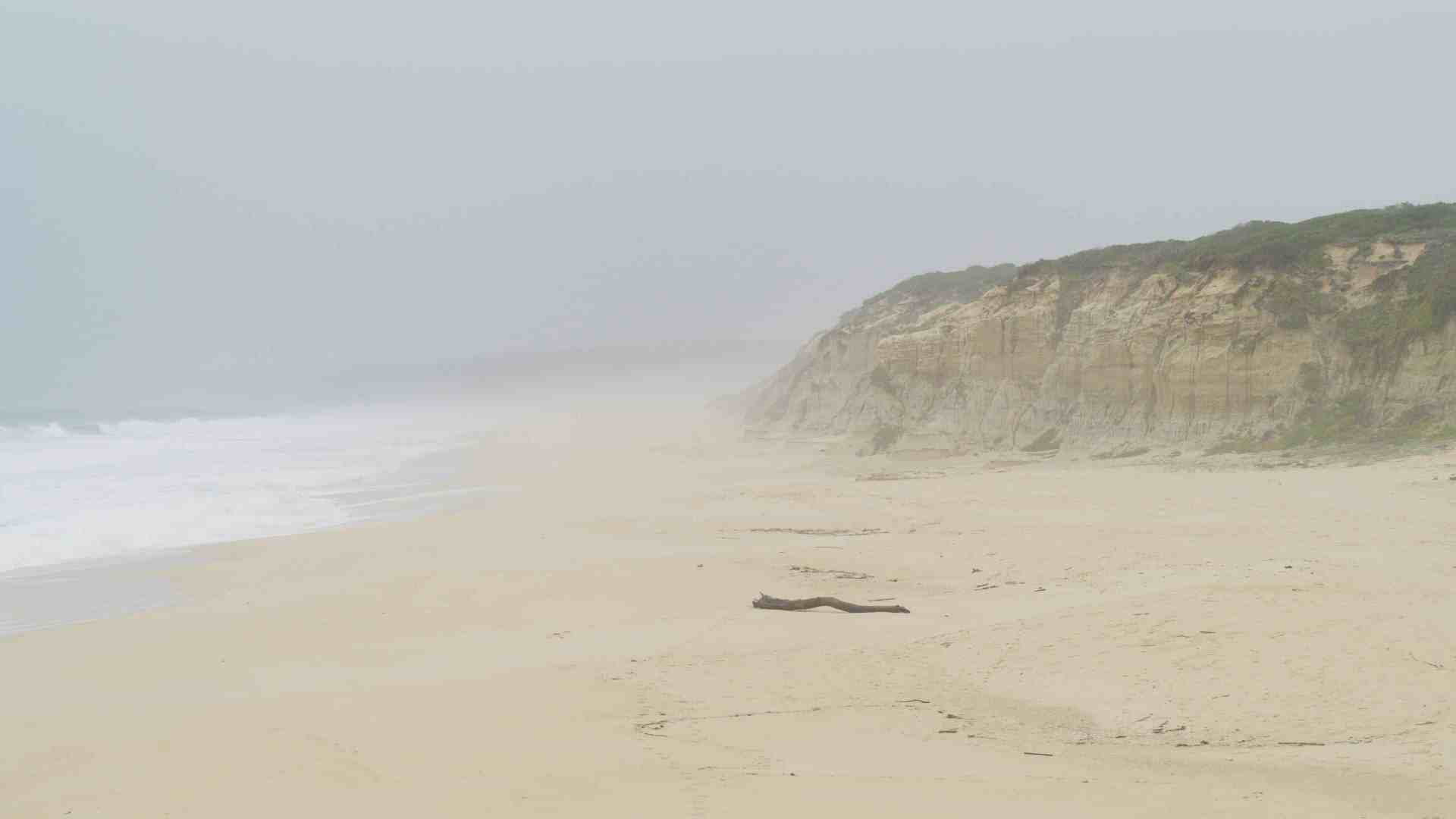 a tranquil beach scene featuring a stretch of sandy shore bordered by cliffs in the background the ocean waves gently roll onto the beach and a light mist envelops the area creating a serene atmospheric ambiance digital production A tranquil beach scene featuring a stretch of sandy shore bordered by cliffs in the background. The ocean waves gently roll onto the beach, and a light mist envelops the area, creating a serene, atmospheric ambiance.