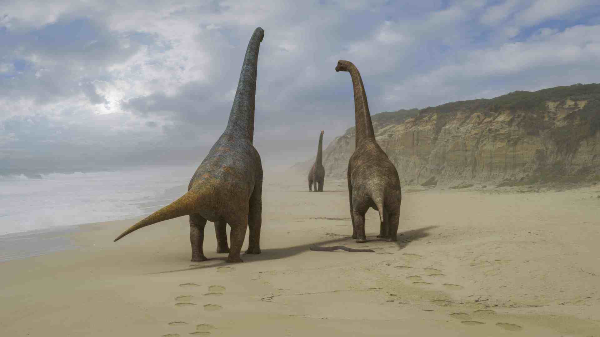 three large sauropod dinosaurs walking along a sandy beach with a misty ocean in the background the cliffside features rugged terrain under a sky dotted with clouds digital production Three large sauropod dinosaurs walking along a sandy beach, with a misty ocean in the background. The cliffside features rugged terrain, under a sky dotted with clouds.