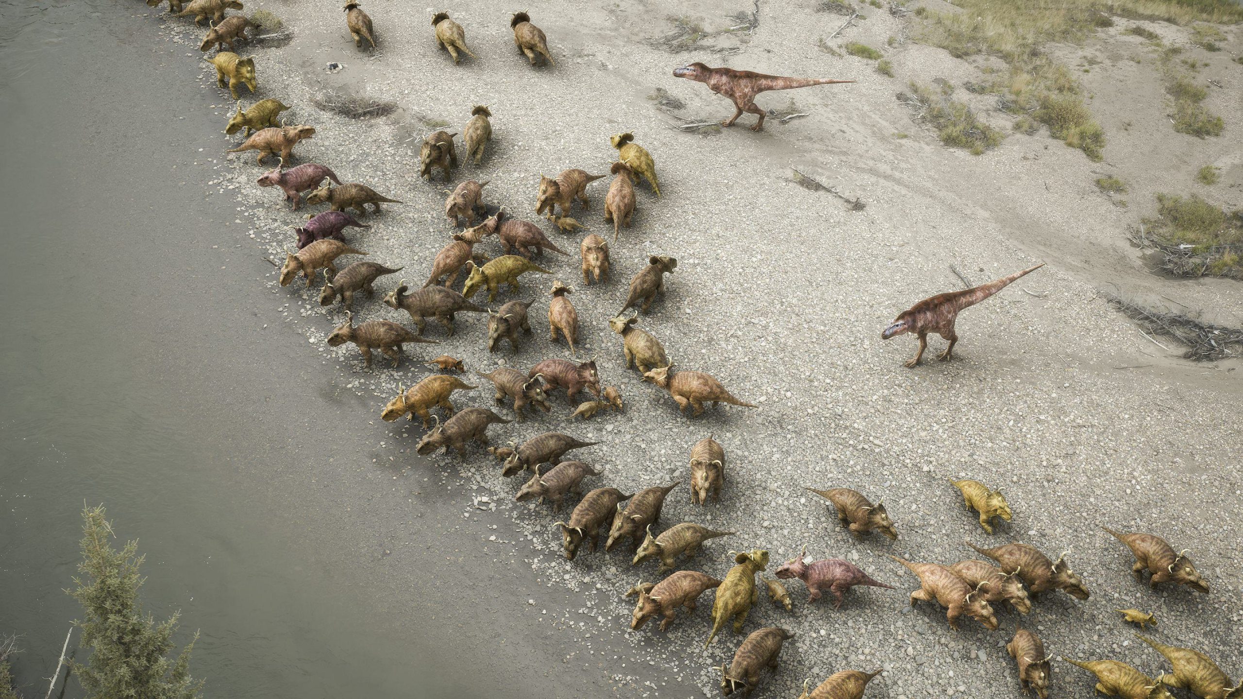 A flock of colorful dinosaurs moving along a sandy riverbank, with several large dinosaurs, including a Tyrannosaurus rex, visible in the scene. The landscape is dotted with lush vegetation and the river flows gently beside them.