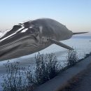 Skeleton Crew: How Halon Gave Ms. Blue Her Digital Bones