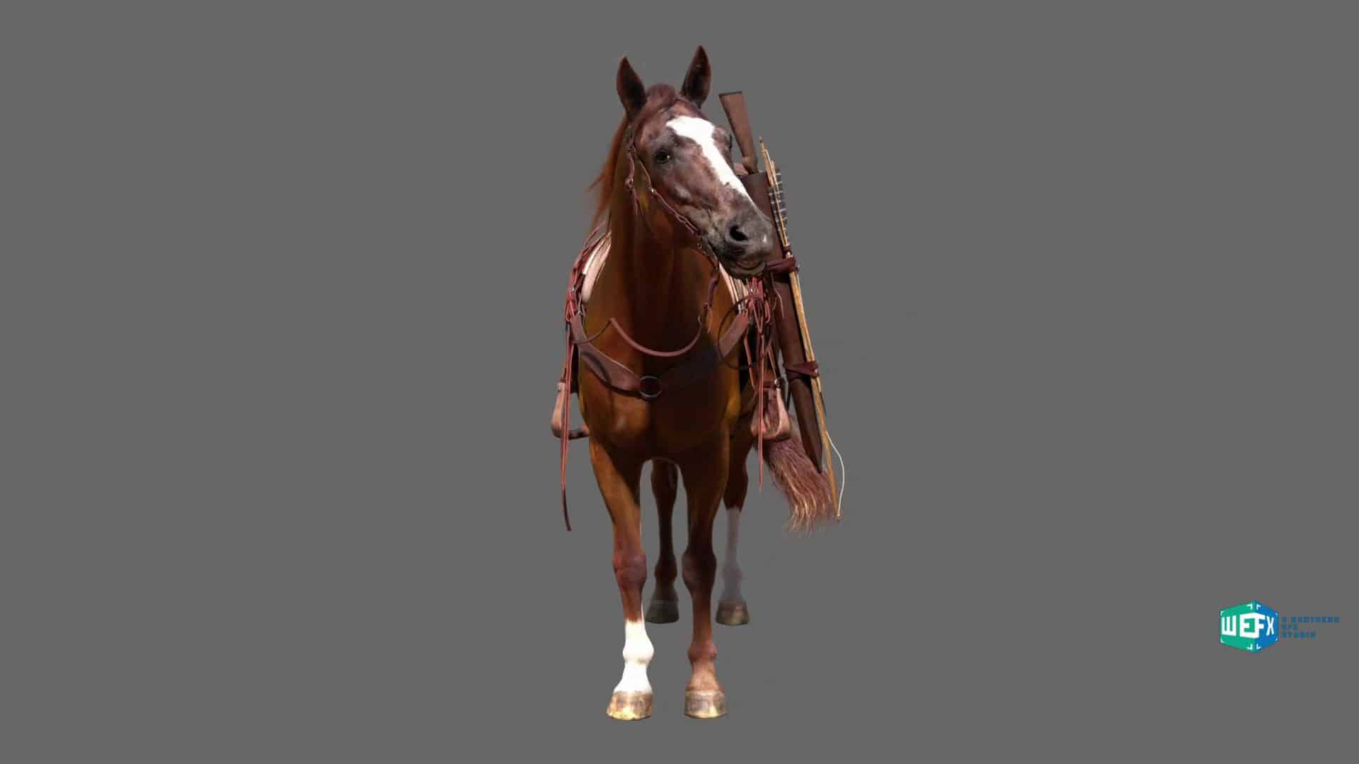 a brown horse wearing a saddle and bridle standing on a gray background the horse has white markings on its face and legs and a harness attached with reins digital production A brown horse wearing a saddle and bridle, standing on a gray background. The horse has white markings on its face and legs, and a harness attached with reins.