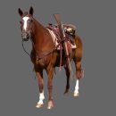 WeFX Saddles Up for “1923”