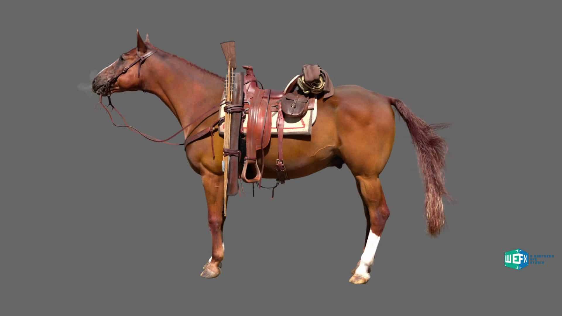 a brown horse standing sideways with a saddle and saddle bag equipped with a rifle secured on the saddle the horse has a white marking on its front leg and a long tail the background is a solid gray color digital production A brown horse standing sideways with a saddle and saddle bag, equipped with a rifle secured on the saddle. The horse has a white marking on its front leg and a long tail. The background is a solid gray color.