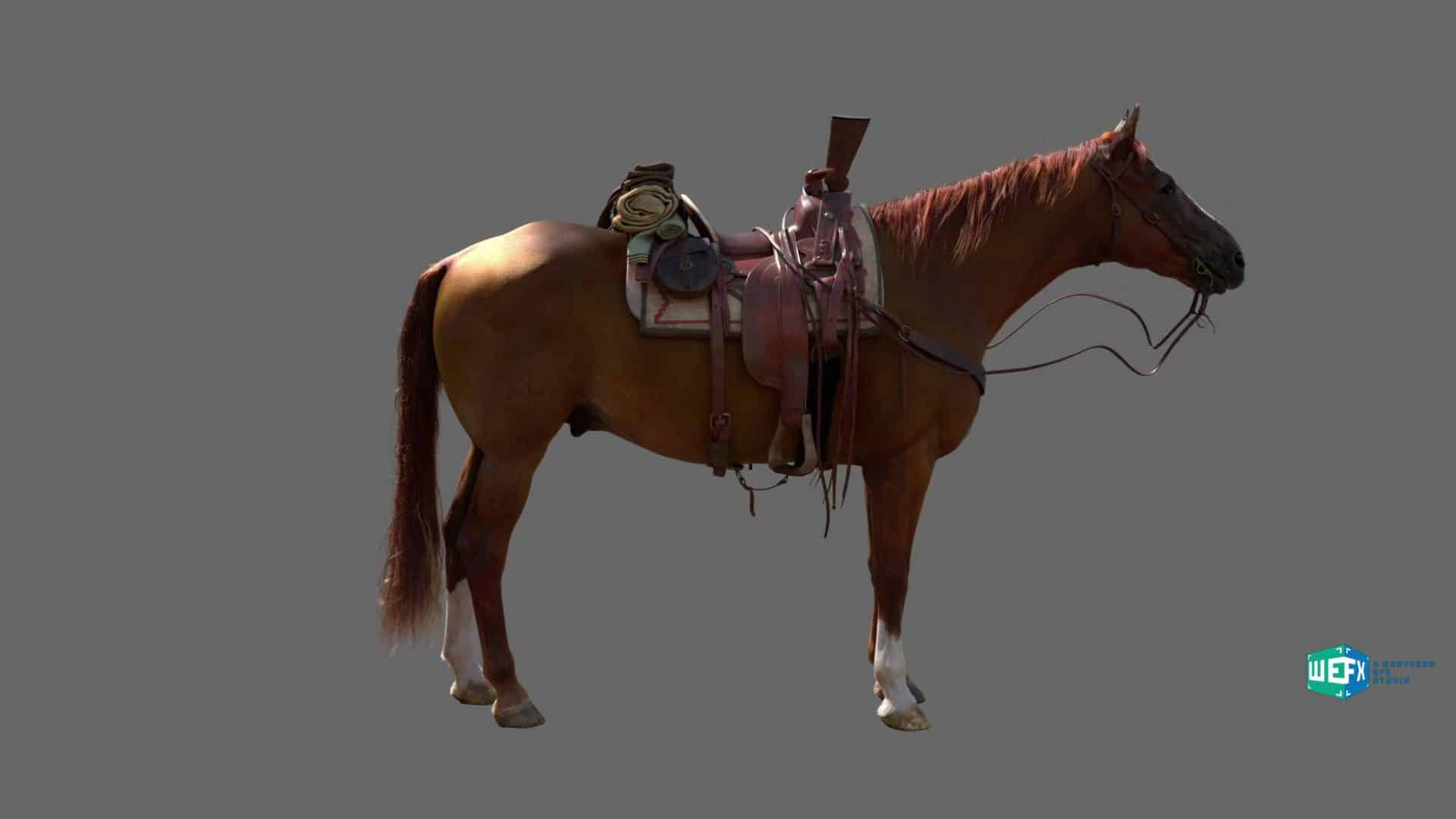 a brown horse with a saddle and gear stands against a gray background the horse is wearing a saddle pad and a small pack is attached to the saddle digital production A brown horse with a saddle and gear stands against a gray background. The horse is wearing a saddle pad, and a small pack is attached to the saddle.