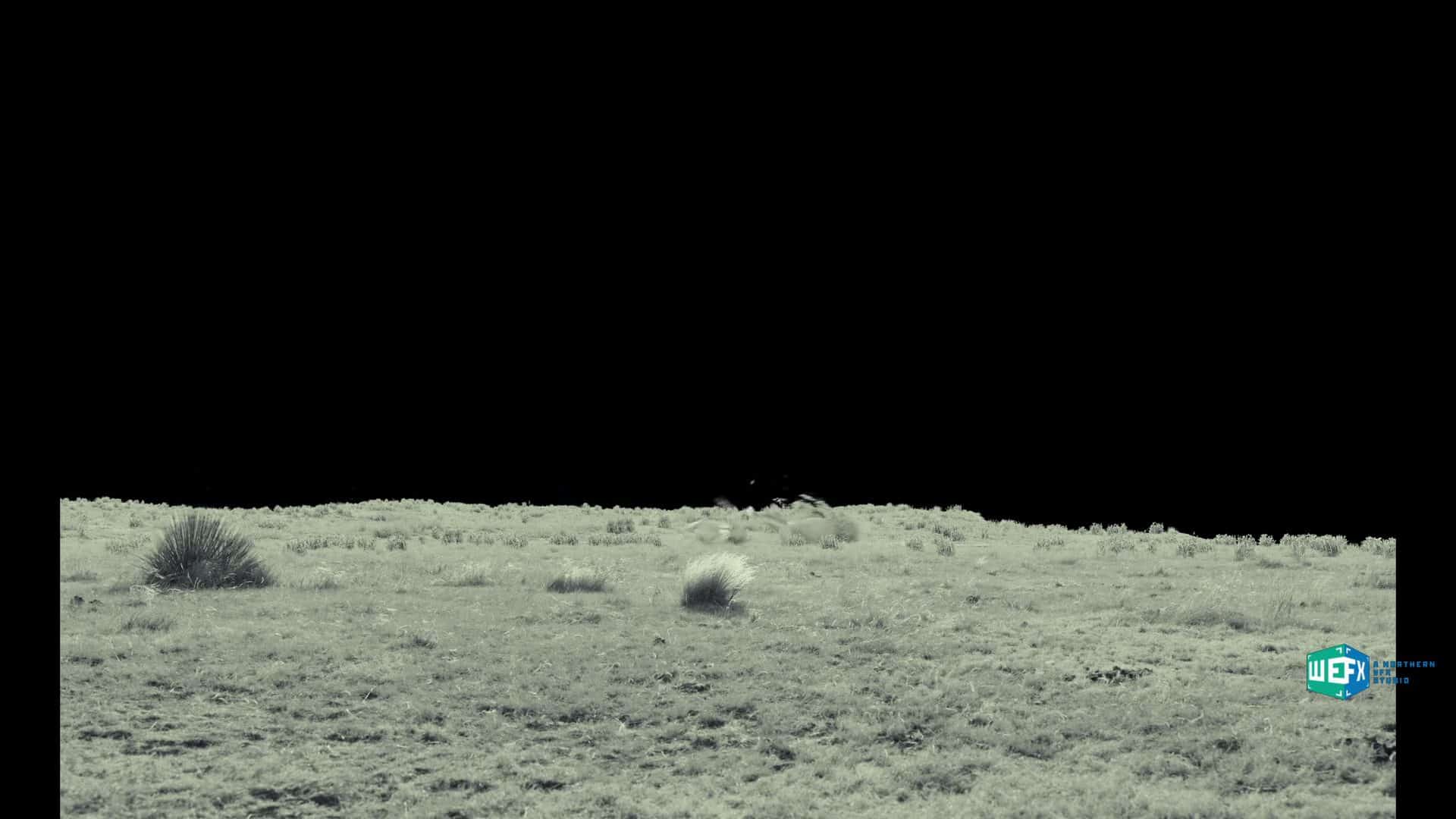 a grayscale landscape featuring sparse vegetation and a flat terrain under a dark sky the image highlights the natural features of the ground with minimal details visible in the background digital production A grayscale landscape featuring sparse vegetation and a flat terrain under a dark sky. The image highlights the natural features of the ground with minimal details visible in the background.