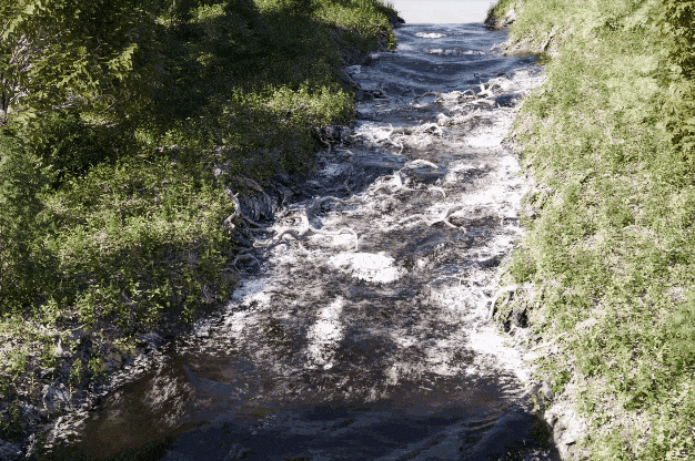 foam digital production A realistic animated river flowing through a lush green landscape, showcasing detailed foam effects on the water's surface.