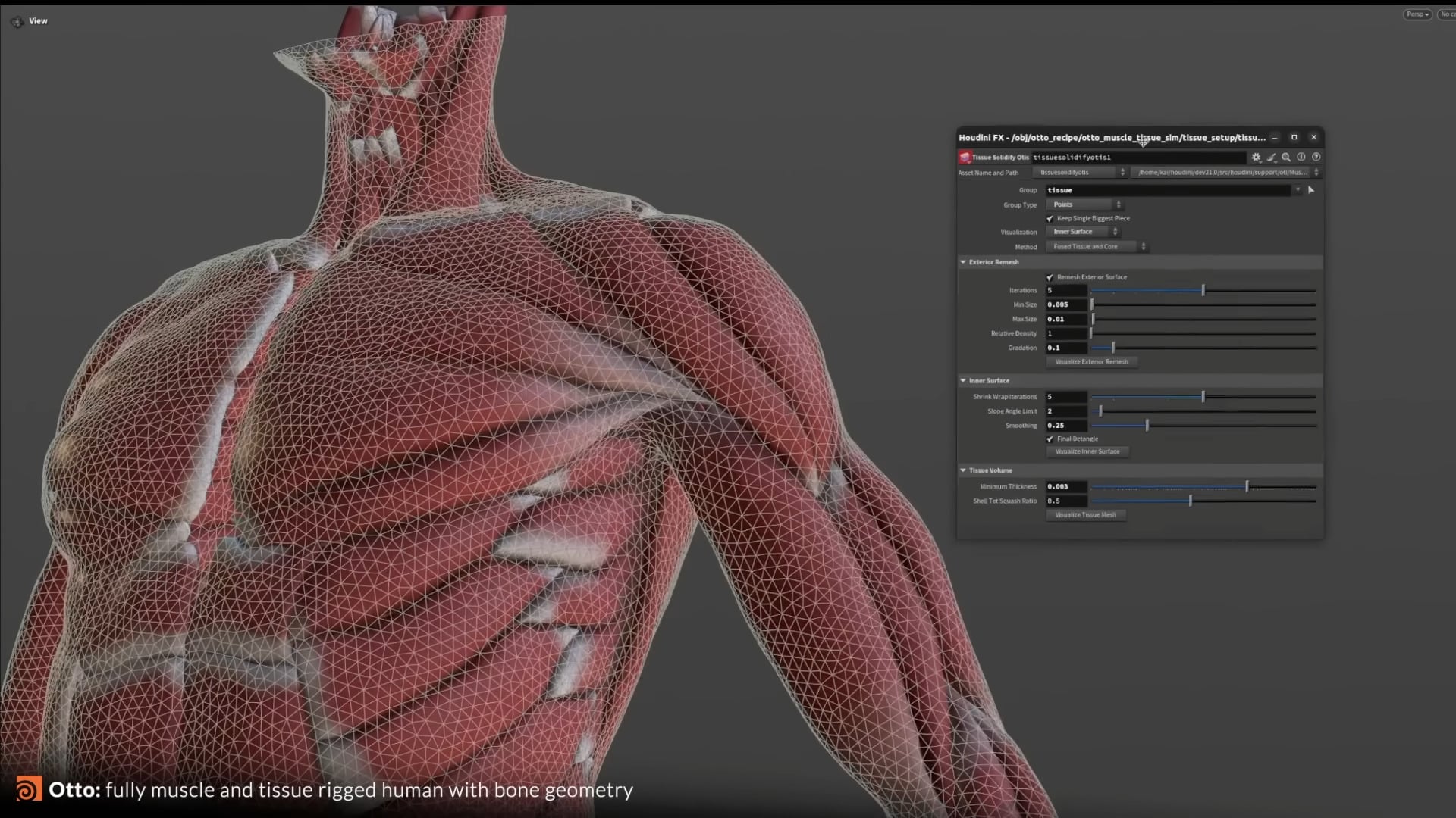 3d model of a human upper body showing muscle and tissue structure displayed on the left the model is textured with a mesh appearance on the right a software interface with settings for adjustments digital production 3D model of a human upper body showing muscle and tissue structure. Displayed on the left, the model is textured with a mesh appearance. On the right, a software interface with settings for adjustments.