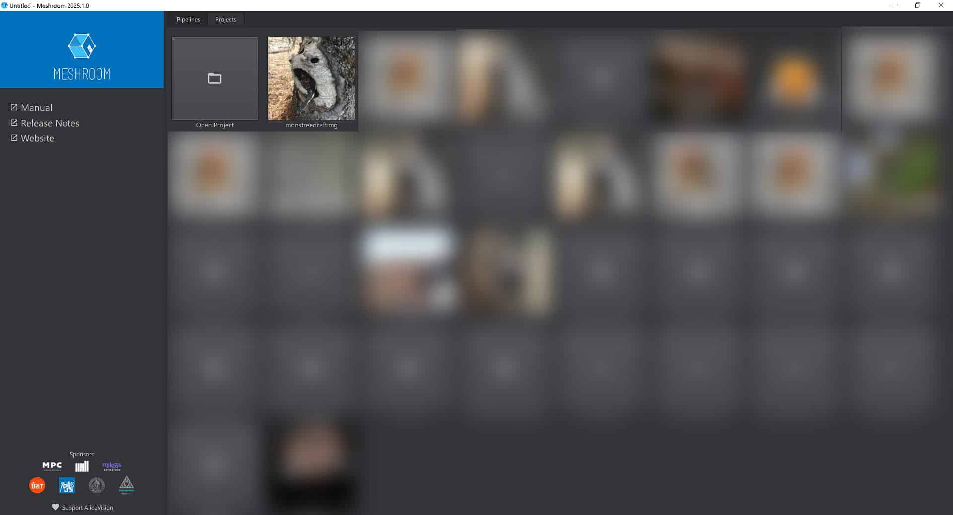 a computer screen displaying a software interface with a grid of thumbnails one thumbnail shows a blurred image and a side menu is visible with options for manual release notes and website digital production A computer screen displaying a software interface with a grid of thumbnails. One thumbnail shows a blurred image, and a side menu is visible with options for 'Manual', 'Release Notes', and 'Website'.
