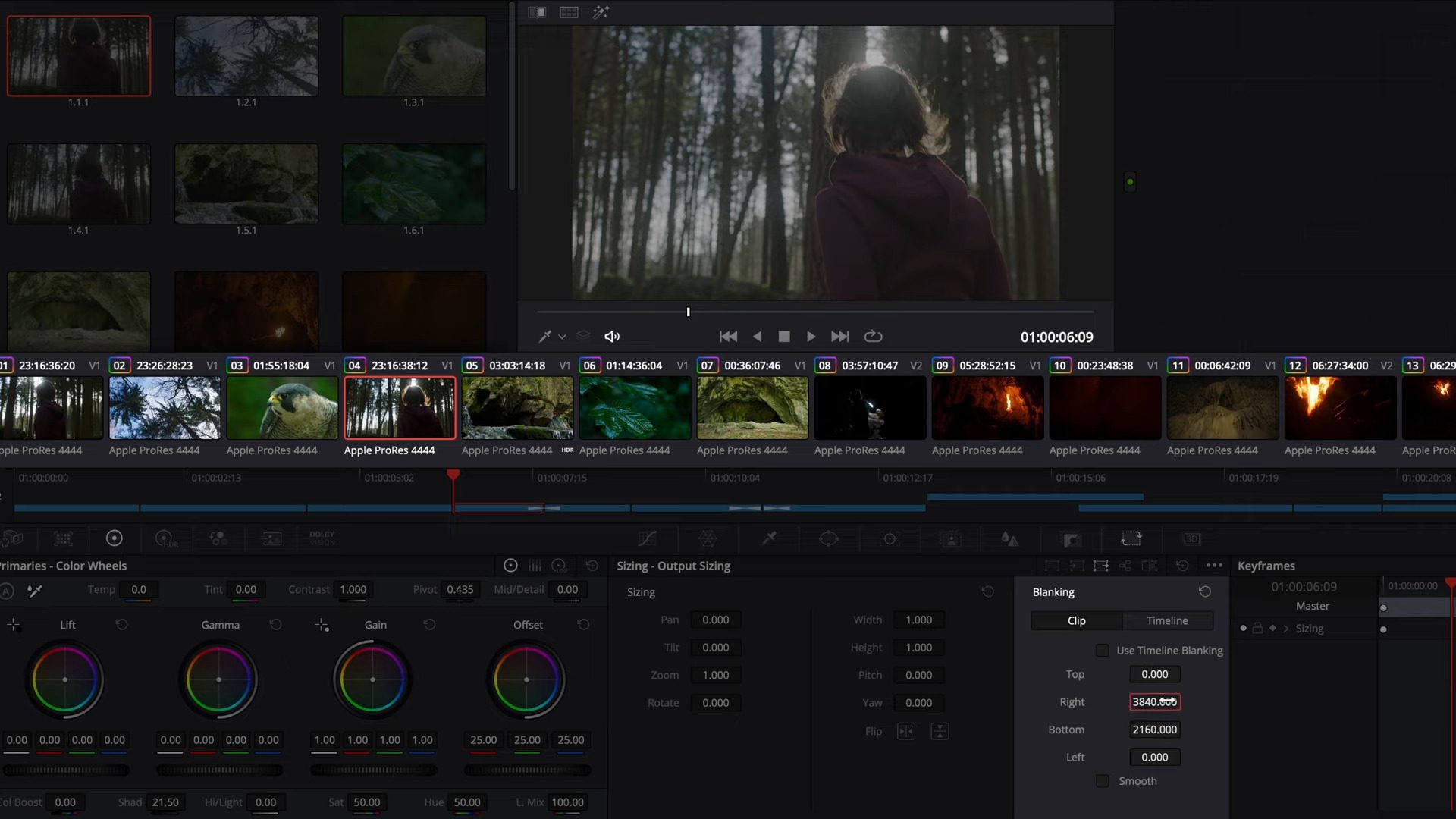 a young person stands in a forest backlit by sunlight filtering through the trees the editing interface of a color grading software is visible at the bottom showcasing color wheels and clip details digital production A young person stands in a forest, backlit by sunlight filtering through the trees. The editing interface of a color grading software is visible at the bottom, showcasing color wheels and clip details.