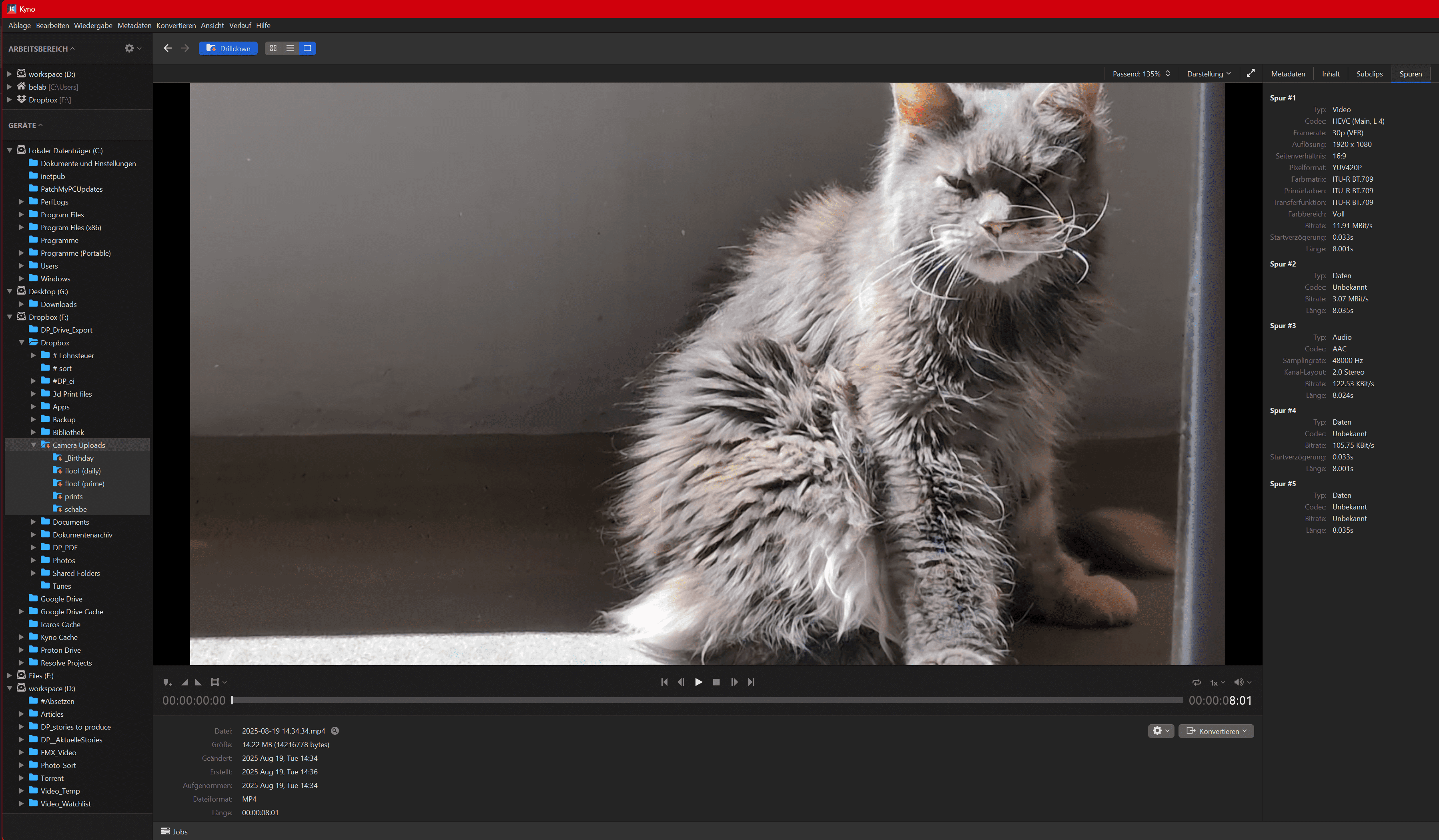 a fluffy cat with gray and white fur is sitting on a sunlit surface squinting its eyes as it enjoys the warmth the background is a simple wall emphasizing the cats soft texture and relaxed pose digital production A fluffy cat with gray and white fur is sitting on a sunlit surface, squinting its eyes as it enjoys the warmth. The background is a simple wall, emphasizing the cat's soft texture and relaxed pose.