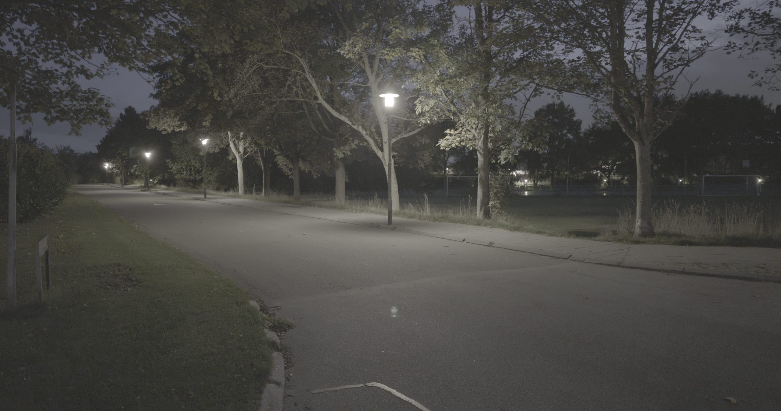 a quiet dimly lit park pathway at night lined with trees and street lamps casting soft light the path is empty with grassy areas visible on the sides creating a serene and peaceful atmosphere digital production A quiet, dimly lit park pathway at night, lined with trees and street lamps casting soft light. The path is empty, with grassy areas visible on the sides, creating a serene and peaceful atmosphere.
