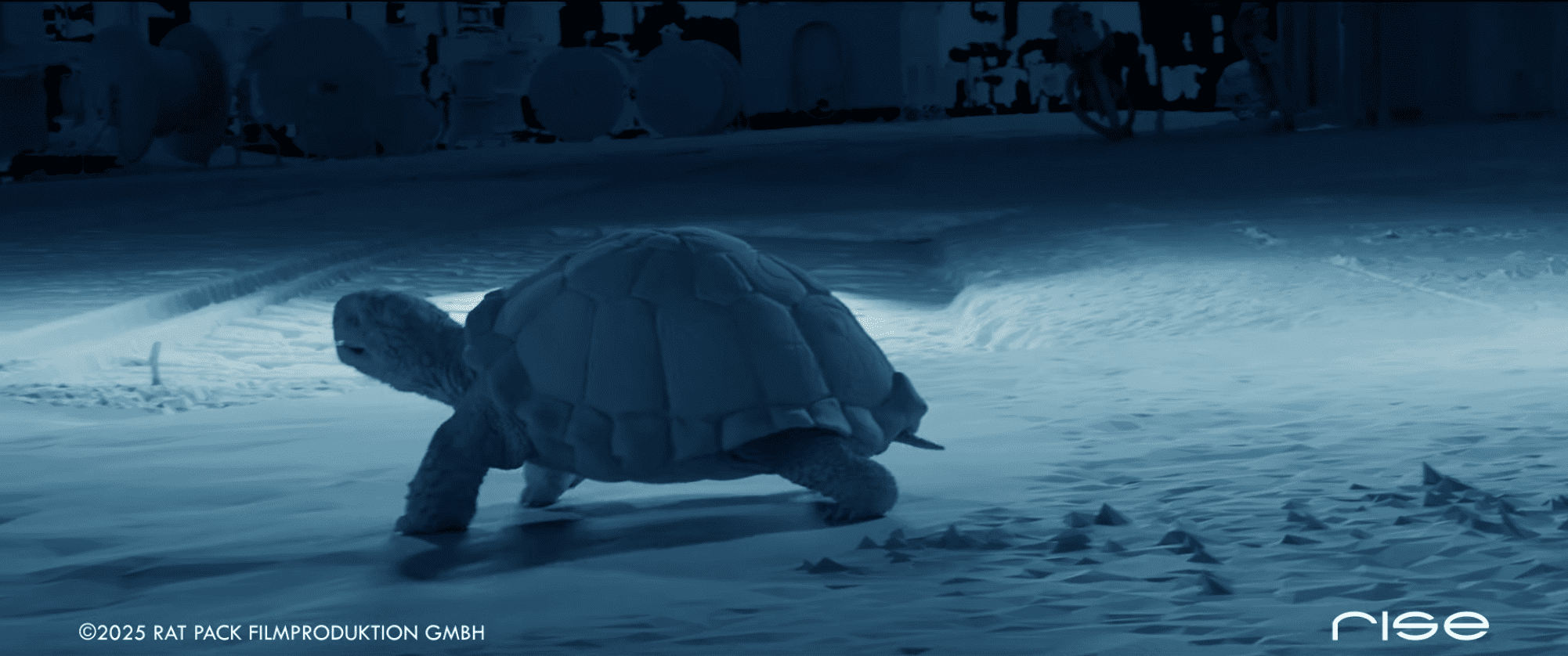 rise visual effects studios rise reel momo uck4h9fws2a 2002x1126 0m56s digital production