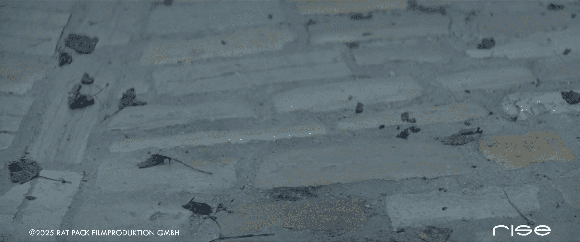 rise visual effects studios rise reel momo uck4h9fws2a 2002x1126 1m04s digital production