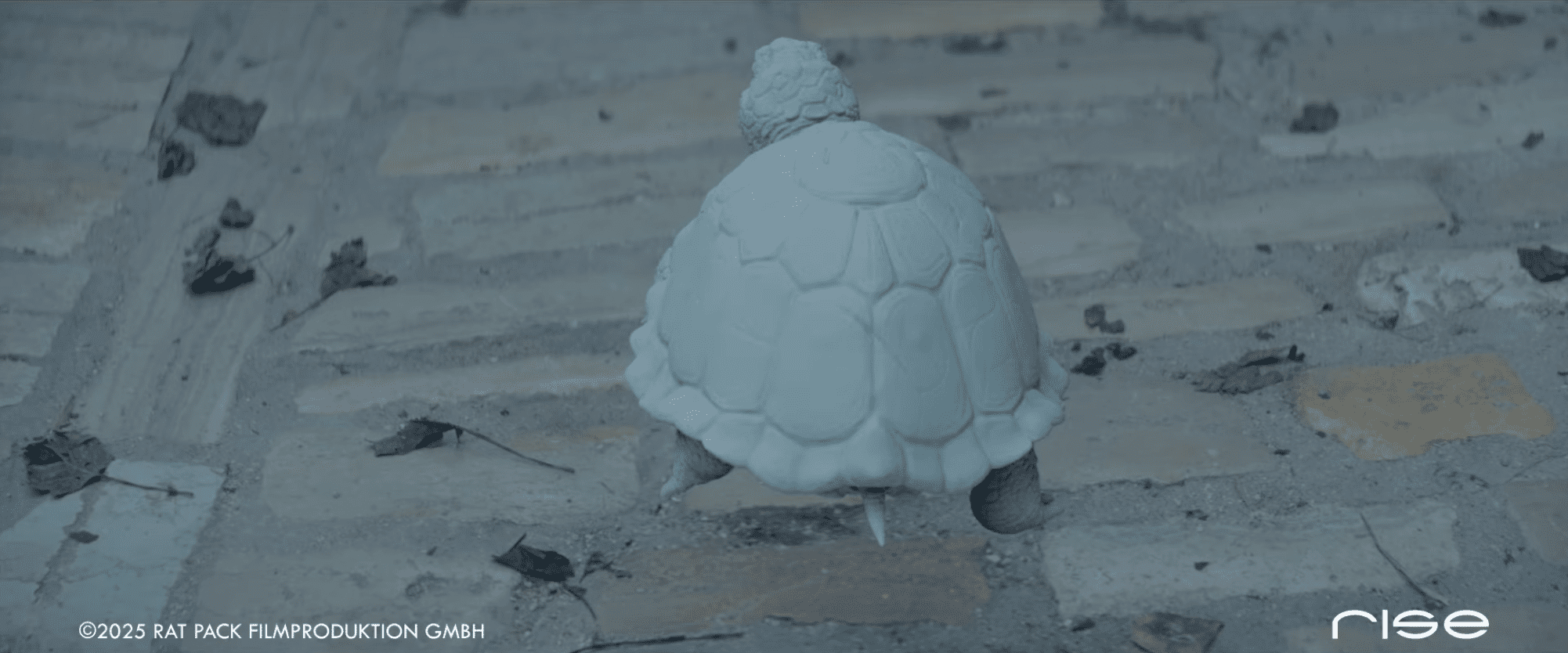 rise visual effects studios rise reel momo uck4h9fws2a 2002x1126 1m05s digital production