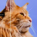 Photoshop 27.0: Now with Harmonise, Upscale & Firefly Video