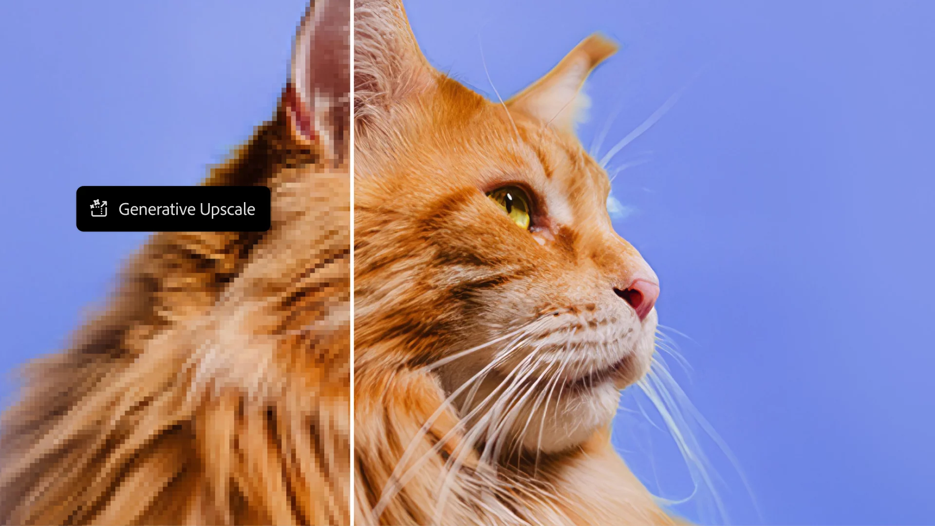 closeup profile of an orange maine coon cat with prominent whiskers and fluffy fur against a light blue background the cats green eye reflects light highlighting its vibrant colors digital production Close-up profile of an orange Maine Coon cat with prominent whiskers and fluffy fur against a light blue background. The cat's green eye reflects light, highlighting its vibrant colors.
