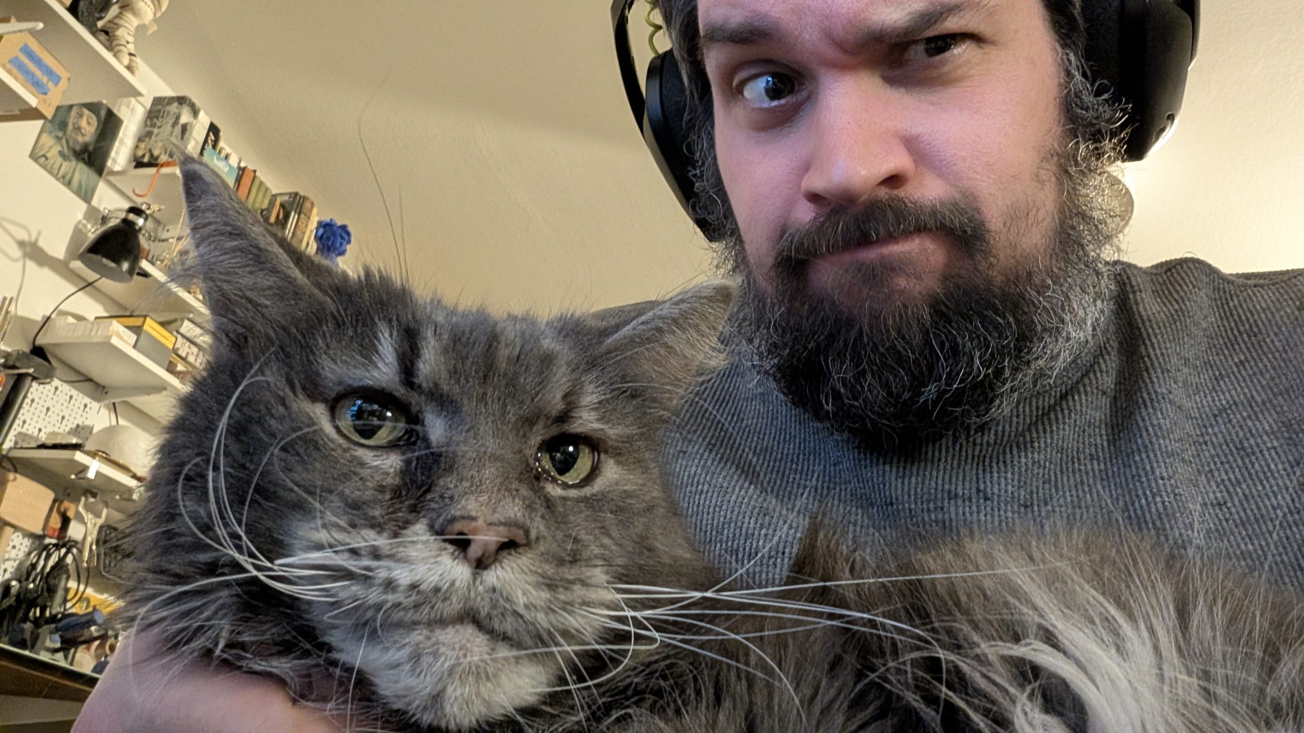 a man with a beard and headphones making a playful expression while holding a large gray cat the cat appears calm and is looking directly at the camera with whiskers prominently displayed digital production A man with a beard and headphones making a playful expression while holding a large gray cat. The cat appears calm and is looking directly at the camera, with whiskers prominently displayed.