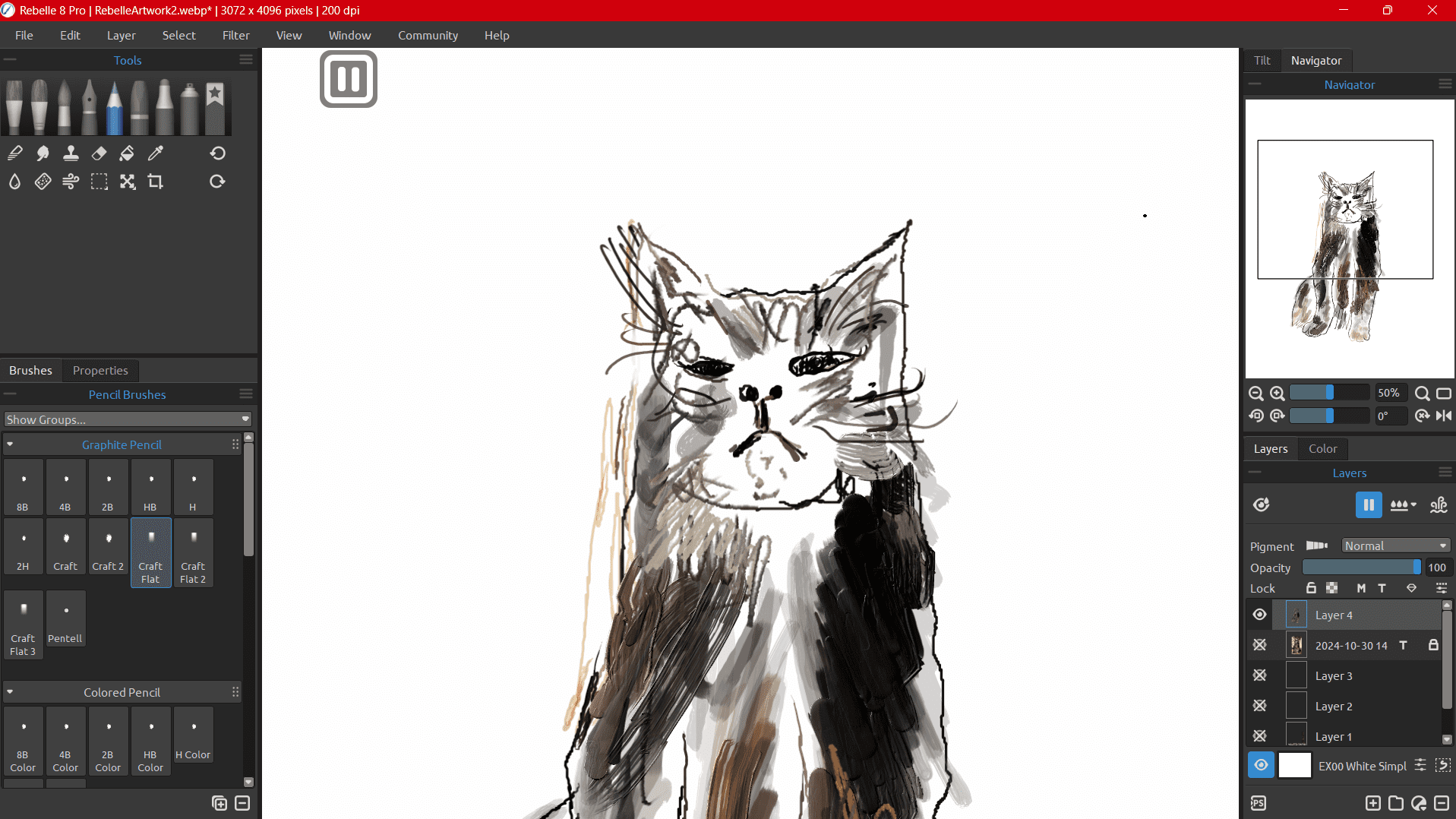 a digital illustration of a cat featuring distinct black white and brown fur the cat has a serious expression with closed eyes and prominent whiskers set against a blank white background the drawing interface and tools are visible on the left digital production A digital illustration of a cat, featuring distinct black, white, and brown fur. The cat has a serious expression with closed eyes and prominent whiskers, set against a blank white background. The drawing interface and tools are visible on the left.