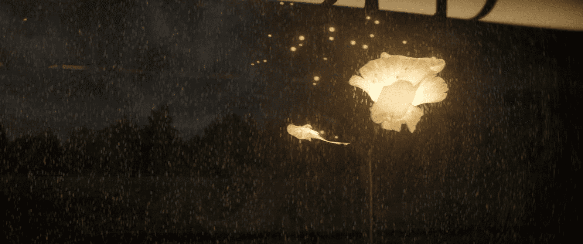 a closeup view of a luminous flower against a backdrop of heavy rain with soft light illuminating droplets the scene conveys a serene yet moody atmosphere reflecting natures beauty amidst the rain digital production A close-up view of a luminous flower against a backdrop of heavy rain, with soft light illuminating droplets. The scene conveys a serene yet moody atmosphere, reflecting nature's beauty amidst the rain.