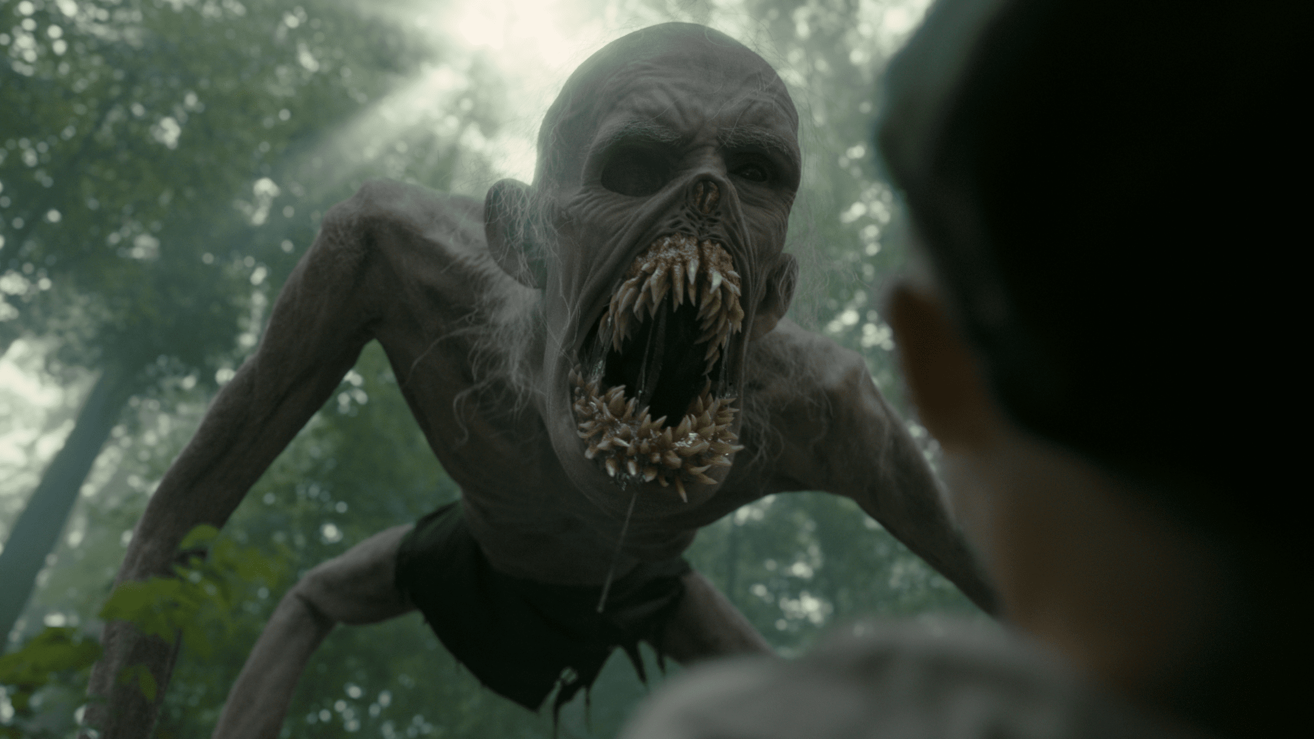 a menacing creature with elongated limbs and a wide toothy mouth looms over a child surrounded by a dense forest sunlight filters through the trees casting an eerie atmosphere digital production A menacing creature with elongated limbs and a wide, toothy mouth looms over a child, surrounded by a dense forest. Sunlight filters through the trees, casting an eerie atmosphere.