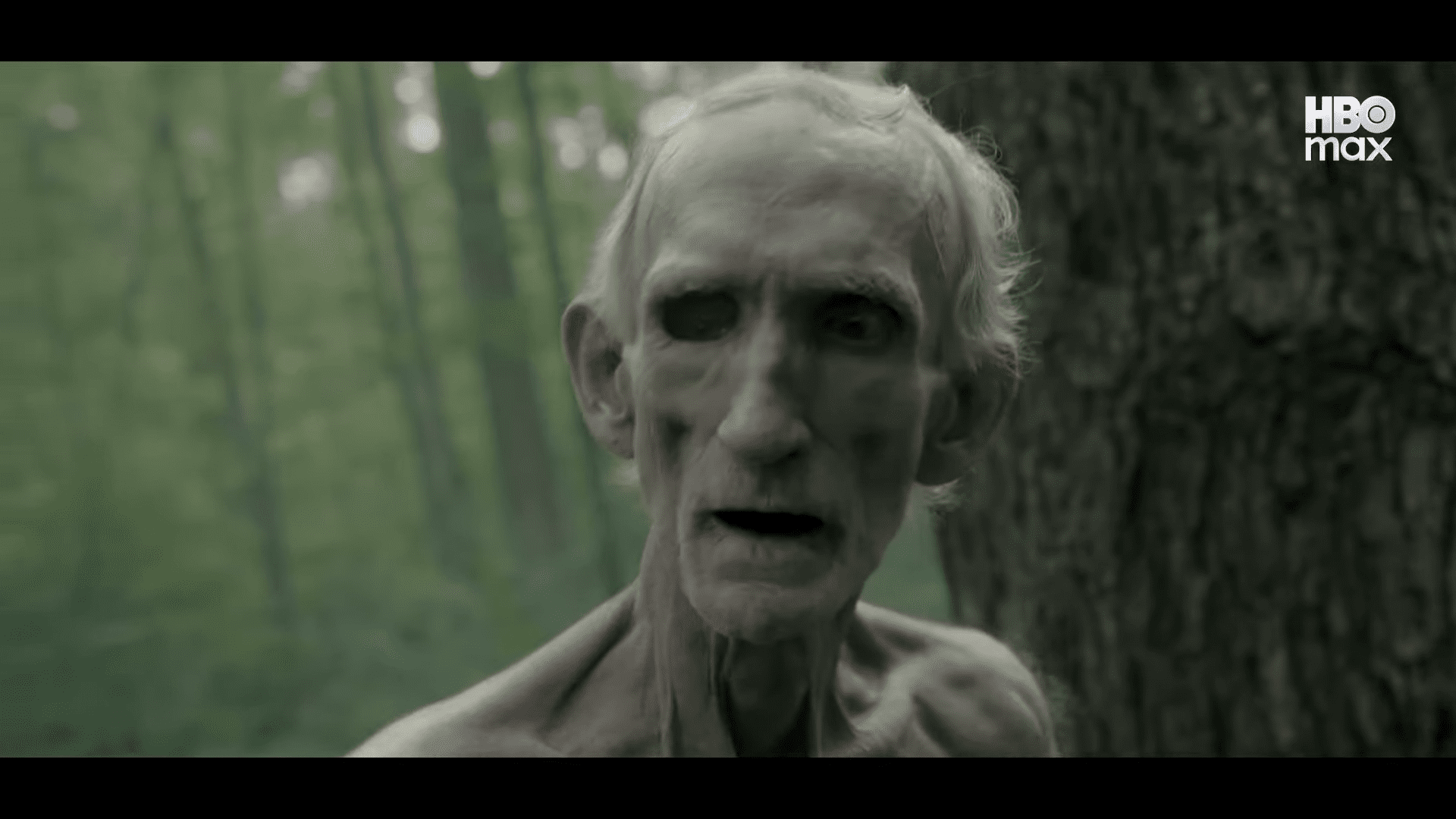 an elderly man with pale skin and deepset eyes stands in a wooded area surrounded by green foliage his expression is solemn reflecting a haunting presence as he gazes directly at the viewer digital production An elderly man with pale skin and deep-set eyes stands in a wooded area, surrounded by green foliage. His expression is solemn, reflecting a haunting presence, as he gazes directly at the viewer.