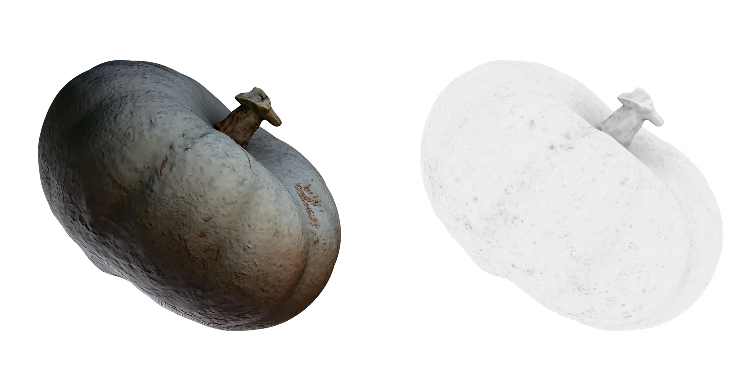 a realistic textured pumpkin with a curvy shape and a small stem on top displayed against a transparent background next to it is a simplified white outline of the same pumpkin digital production https://www.kiriengine.app/_ipx/w_2560&f_avif/static/image/blender-addon/fruit-and-veg-asset-pack-by-kiri-engine/image_(4).png