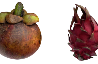 A side-by-side comparison of a mangosteen, a round brown fruit with a green crown, and a dragon fruit, a vibrant pink fruit with green-tipped scales, set against a transparent background.