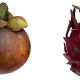 A side-by-side comparison of a mangosteen, a round brown fruit with a green crown, and a dragon fruit, a vibrant pink fruit with green-tipped scales, set against a transparent background.