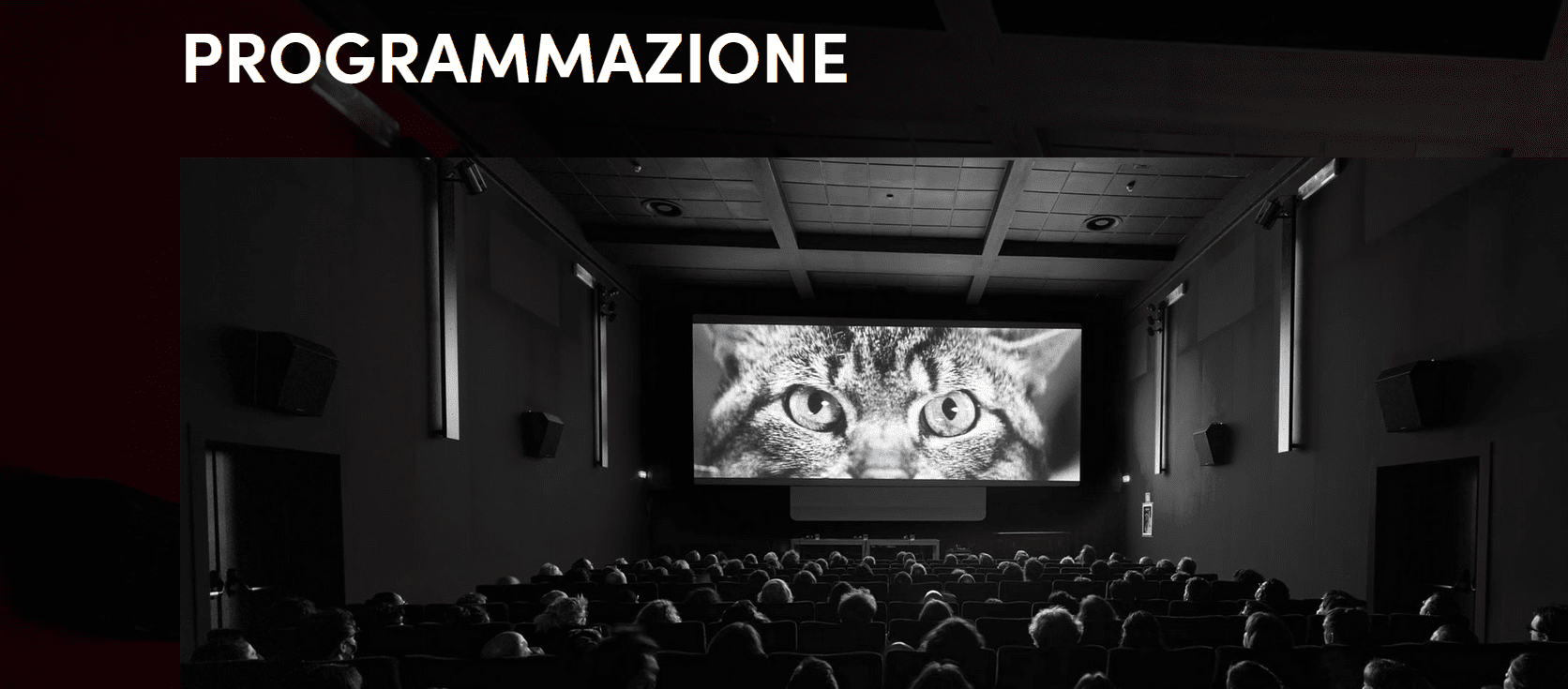 a cinema hall filled with an audience watching a film featuring a closeup of a cats face on the large screen illuminated in black and white the word programmazione is displayed in bold contrasting letters at the top digital production A cinema hall filled with an audience watching a film featuring a close-up of a cat's face on the large screen, illuminated in black and white. The word 'PROGRAMMAZIONE' is displayed in bold, contrasting letters at the top.