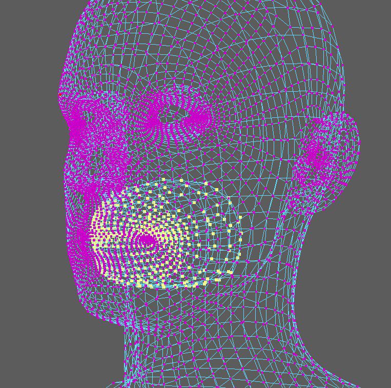 a computergenerated wireframe model of a human head showcasing a mesh of purple and blue lines against a gray background the design includes a patterned area over the cheek conveying a sense of threedimensional depth digital production https://kangaroobuilder.com/images/landmarkWarp_selectInnermouth.jpg