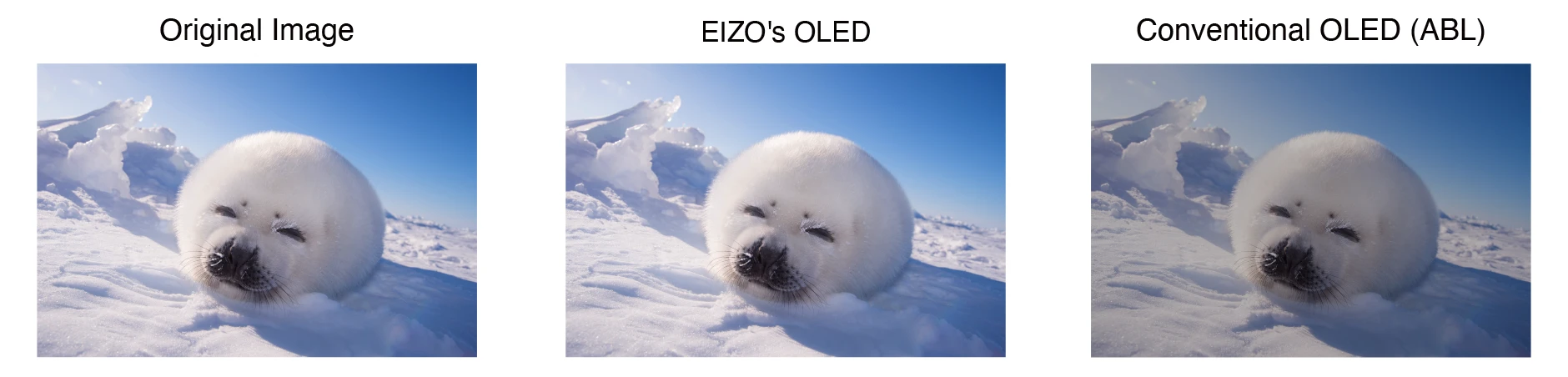 a comparison of three images in a snowy landscape featuring a seal the left shows the original image the center displays the enhanced colors of eizos oled and the right shows the conventional oled version digital production A comparison of three images in a snowy landscape featuring a seal. The left shows the original image, the center displays the enhanced colors of EIZO's OLED, and the right shows the conventional OLED version.