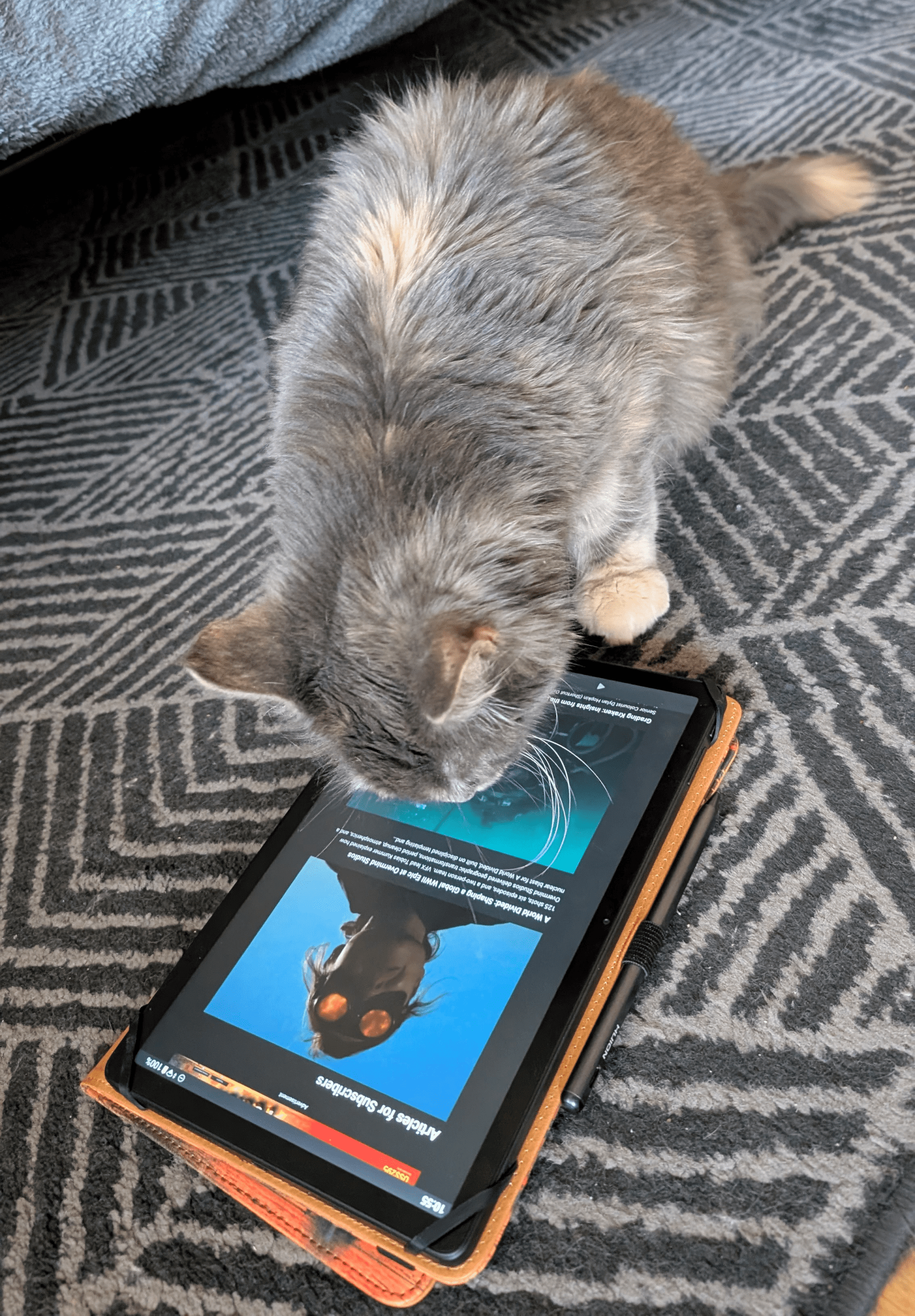 a fluffy gray cat with white accents curiously inspecting a tablet lying on a patterned rug the tablet displays an image and the cat appears focused on the screen digital production A fluffy gray cat with white accents curiously inspecting a tablet lying on a patterned rug. The tablet displays an image, and the cat appears focused on the screen.