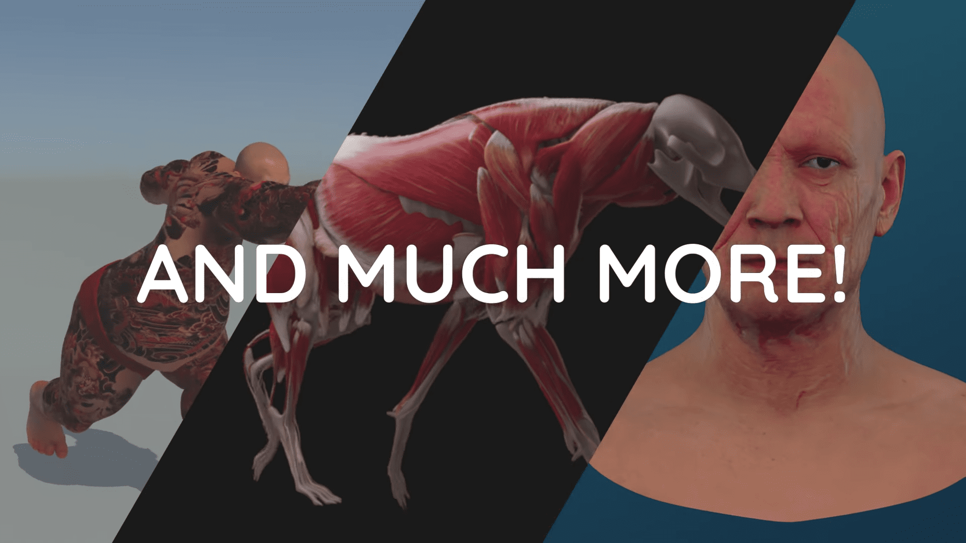 a split image showcasing three 3d renderings a muscular human figure in motion on the left a detailed anatomical dog model in the center and a realistic human head on the right with the text and much more prominently displayed digital production A split image showcasing three 3D renderings: a muscular human figure in motion on the left, a detailed anatomical dog model in the center, and a realistic human head on the right, with the text 'AND MUCH MORE!' prominently displayed.