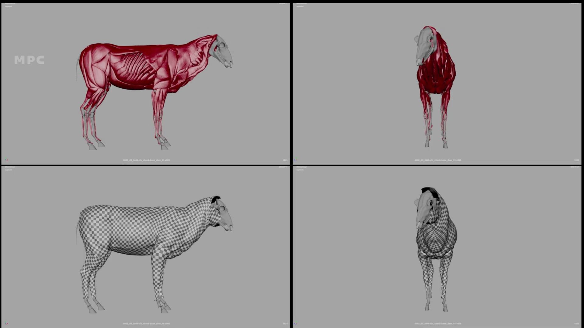 a digital illustration of a horse divided into four quadrants the top left shows skeletal and muscular anatomy in red the top right displays the horse in a solid color the bottom left features a wireframe view while the bottom right highlights the anatomical layers digital production A digital illustration of a horse, divided into four quadrants. The top left shows skeletal and muscular anatomy in red; the top right displays the horse in a solid color. The bottom left features a wireframe view, while the bottom right highlights the anatomical layers.