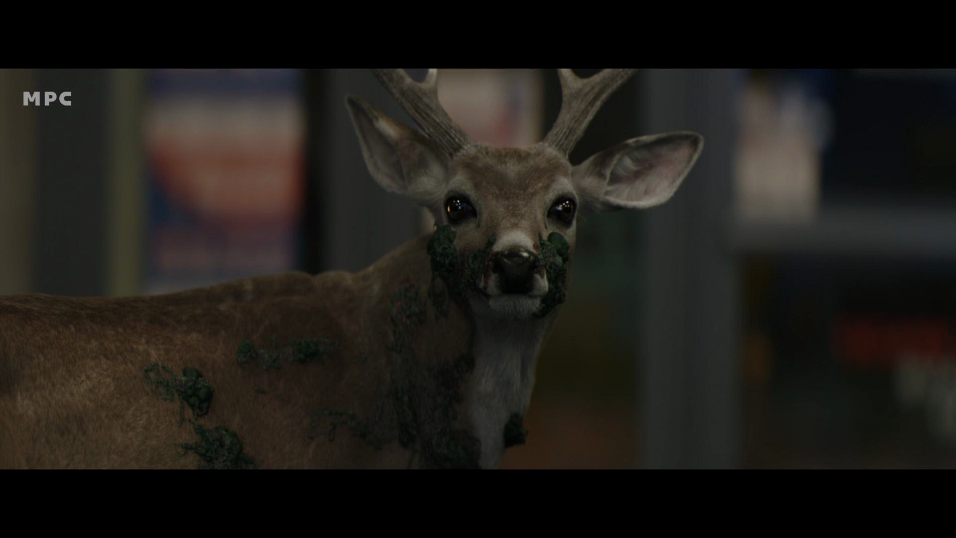 a closeup of a deer with a distressed expression the deer has green moss or algae on its face set against a blurred background that suggests an urban environment digital production A close-up of a deer with a distressed expression. The deer has green moss or algae on its face, set against a blurred background that suggests an urban environment.