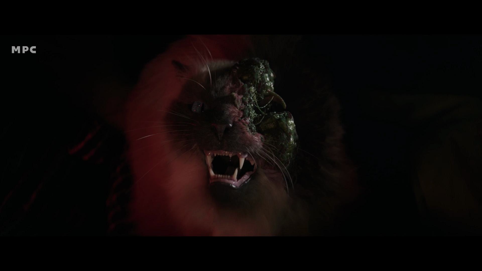 a closeup of a lions head with a distressed expression featuring noticeable green lesions on its face the background is dark with muted lighting that highlights the lions mane and facial features digital production A close-up of a lion's head with a distressed expression, featuring noticeable green lesions on its face. The background is dark, with muted lighting that highlights the lion's mane and facial features.