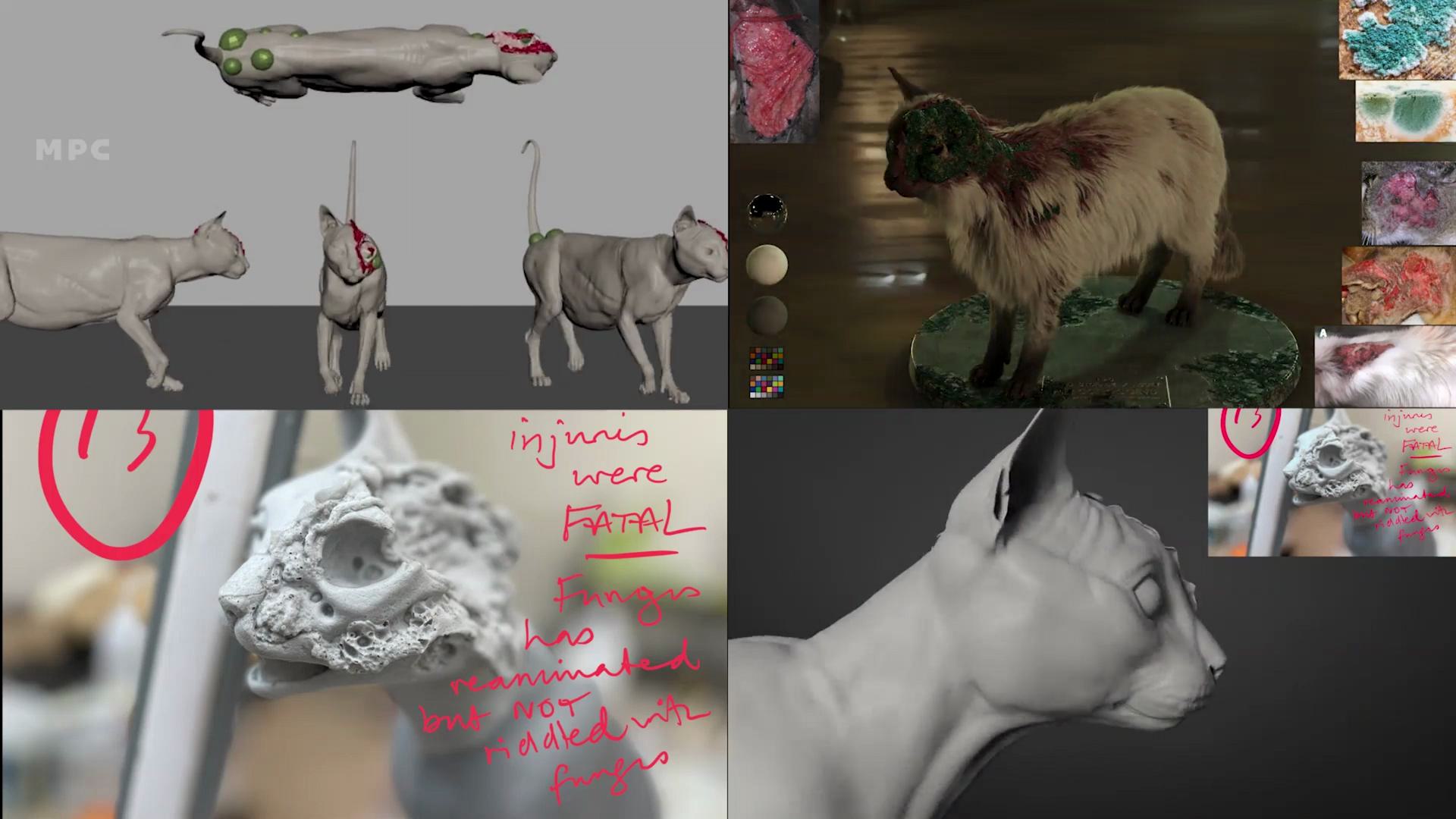 a collage showing various stages of 3d modeling and textures of animal characters one panel displays two cats in different poses while another features a sculpted animal model with notes about textures and details digital production A collage showing various stages of 3D modeling and textures of animal characters. One panel displays two cats in different poses, while another features a sculpted animal model with notes about textures and details.