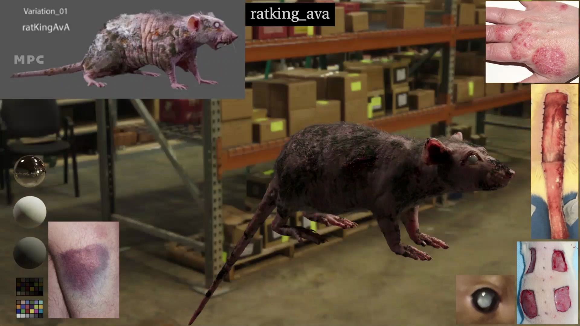 a digital rendering of a rat in a warehouse setting surrounded by multiple images showing various textures and skin details on human arms an eye and a closeup of a rats body the background features shelves filled with boxes digital production A digital rendering of a rat in a warehouse setting, surrounded by multiple images showing various textures and skin details on human arms, an eye, and a close-up of a rat's body. The background features shelves filled with boxes.