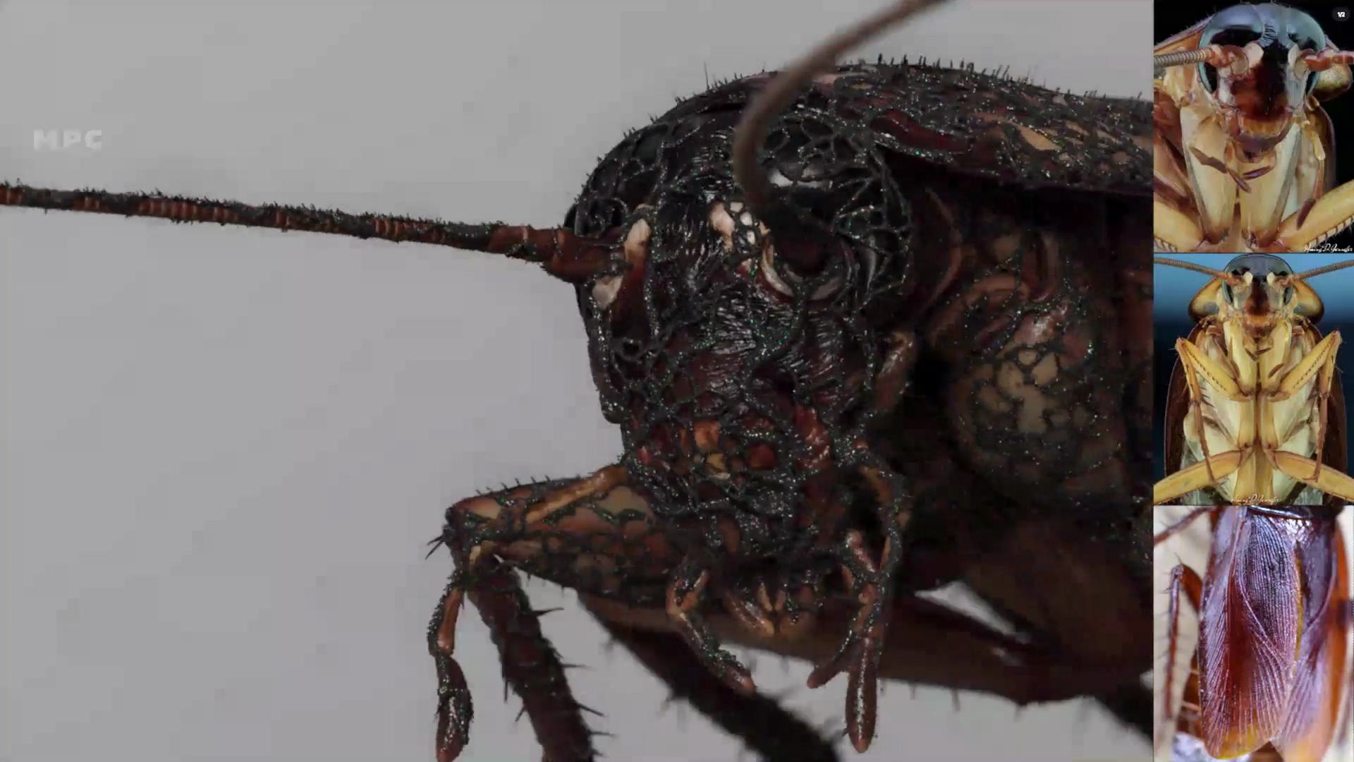 a closeup view of a dark detailed insect likely a cockroach highlighting its textured exoskeleton and antennae surrounding images depict various cockroach species showcasing their diverse appearances and forms digital production A close-up view of a dark, detailed insect, likely a cockroach, highlighting its textured exoskeleton and antennae. Surrounding images depict various cockroach species, showcasing their diverse appearances and forms.