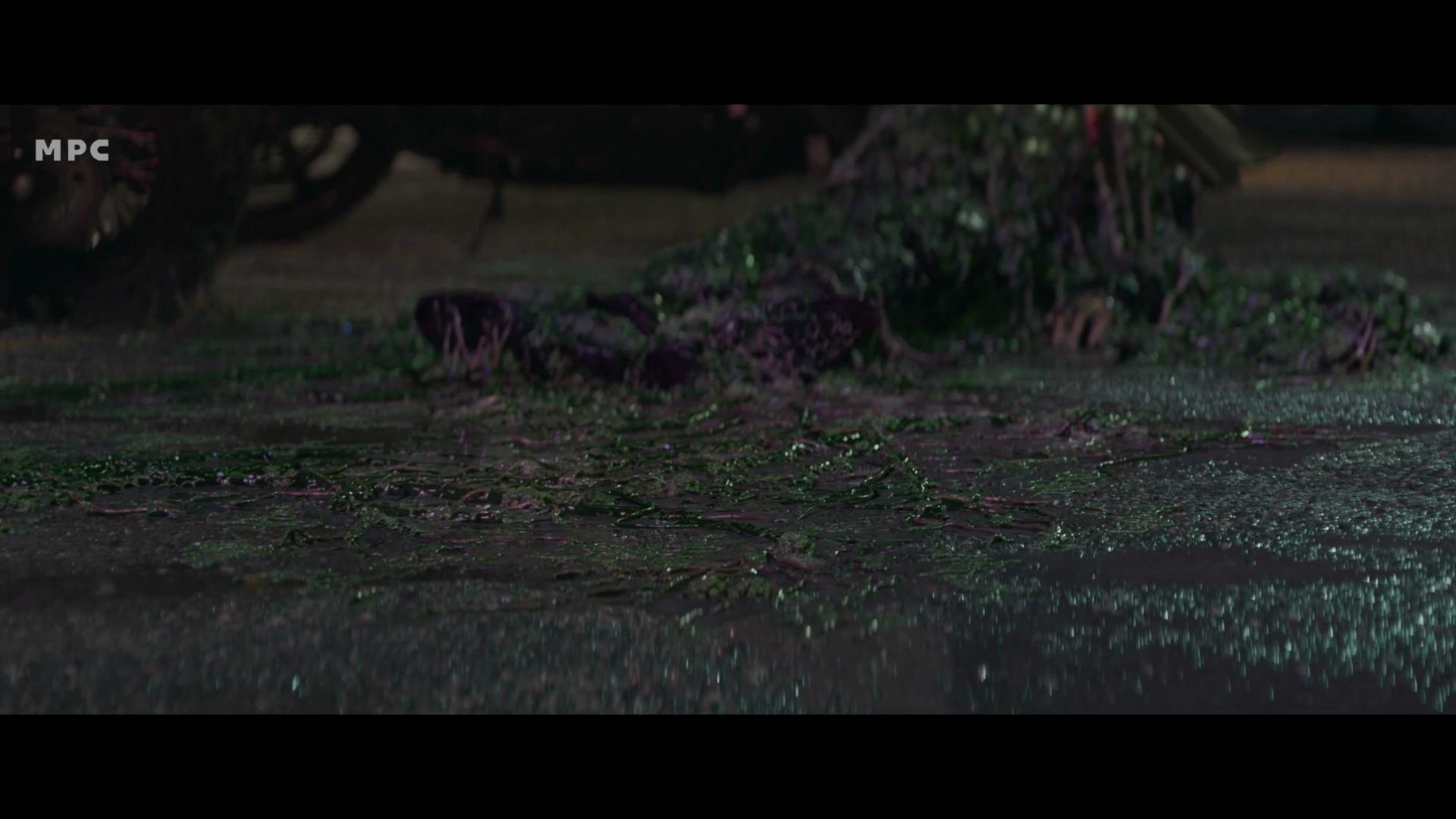 a wet reflective surface with dark patches of organic matter and green foliage scattered across it in the background part of a vehicle is visible suggesting a location aftermath of an incident digital production A wet, reflective surface with dark patches of organic matter and green foliage scattered across it. In the background, part of a vehicle is visible, suggesting a location aftermath of an incident.