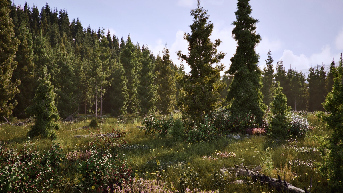 a serene forest scene filled with tall evergreen trees surrounded by lush green grass and colorful wildflowers sunlight filters through the leaves casting dappled shadows on the ground in the background dense trees create a tranquil and inviting atmosphere digital production https://cms-assets.unrealengine.com/AEOpzOpKNRbioUBp6s1Yjz/resize=width:1200/output=format:webp/cmnykof8rexhm08n464ii83sj