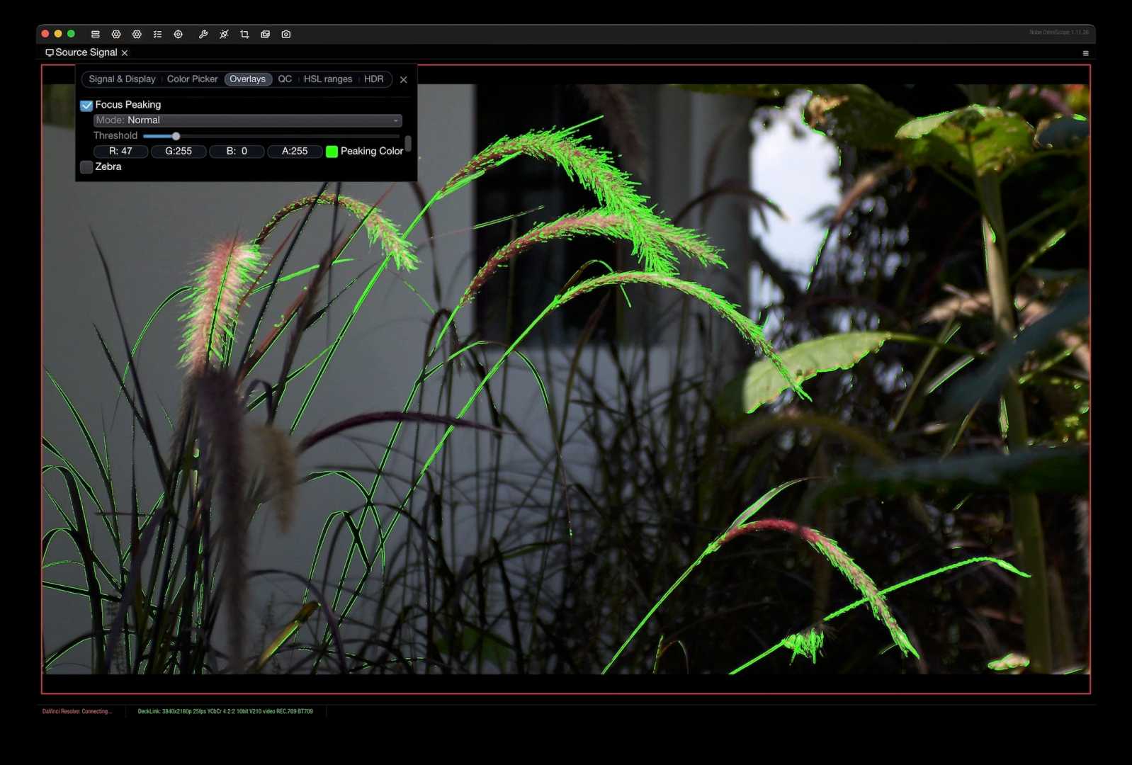 closeup of grass and plants with soft feathery tips highlighted in green the scene includes a digital interface showing focus peaking adjustments in a photo editing software with a blurred background of foliage and a wall digital production Close-up of grass and plants with soft, feathery tips highlighted in green. The scene includes a digital interface showing focus peaking adjustments in a photo editing software, with a blurred background of foliage and a wall.